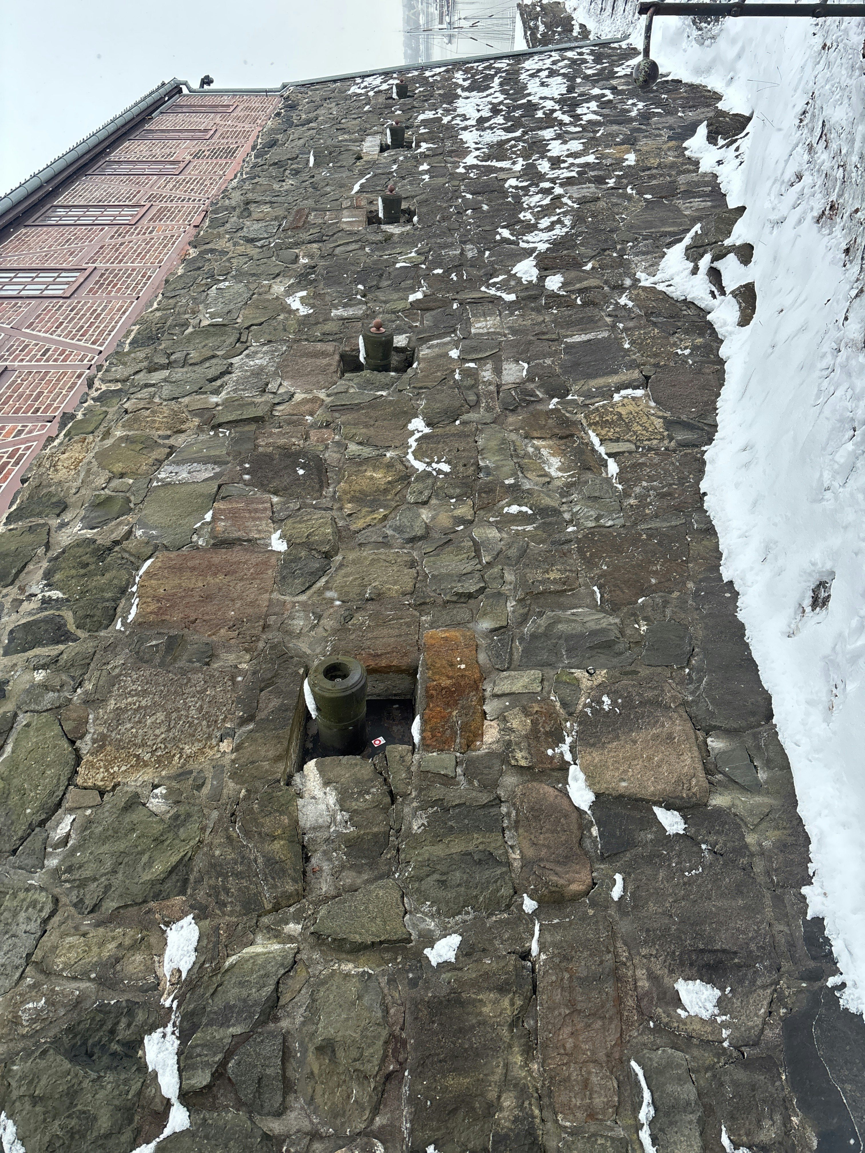 Player photo from Oslo Old Town: Viking Tales walking tour in Oslo