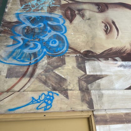 Player photo from Walls That Speak: Melbourne's Street Art walking tour in Melbourne