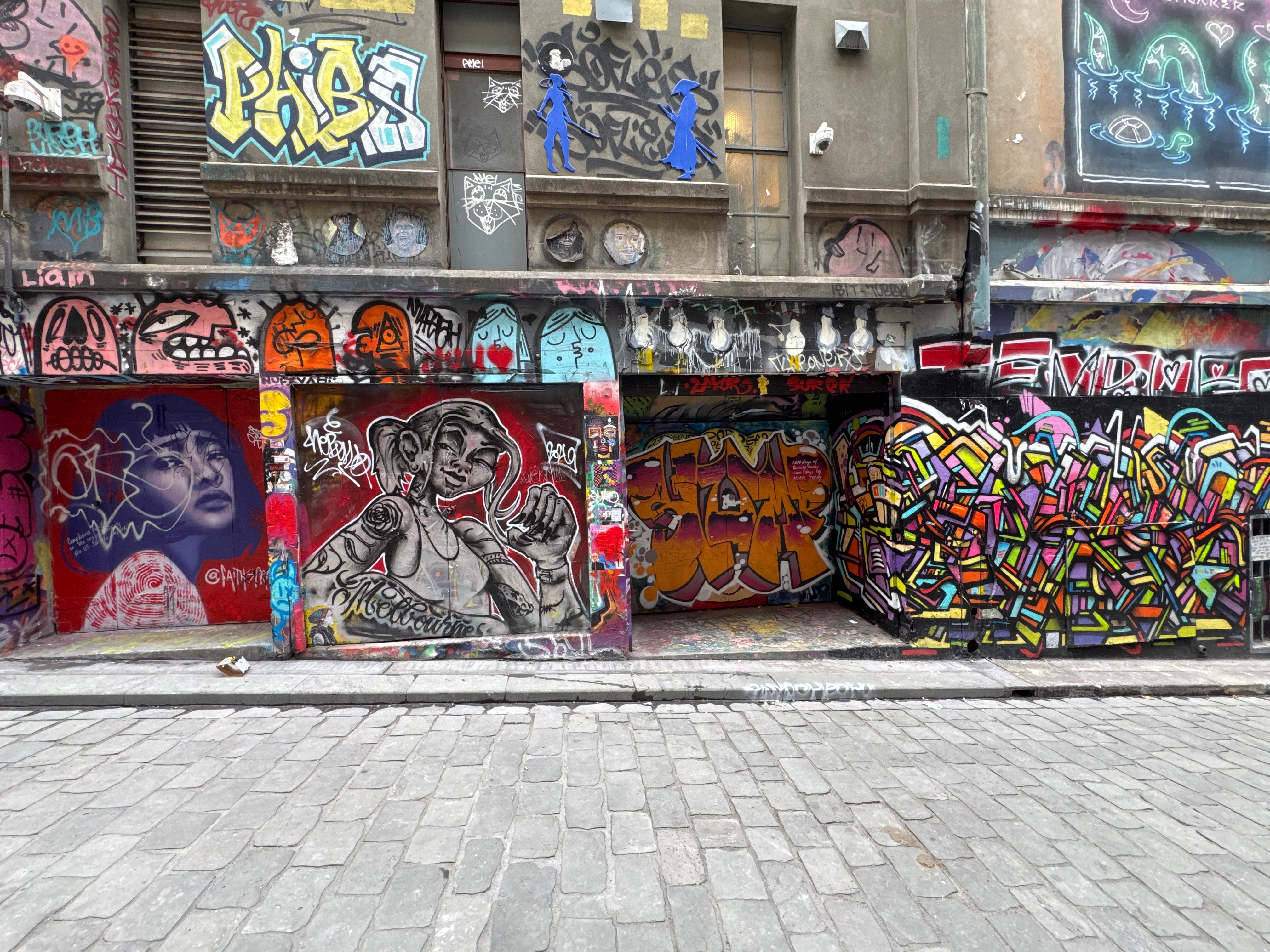Player photo from Walls That Speak: Melbourne's Street Art walking tour in Melbourne