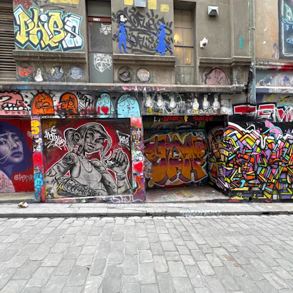 Player photo from Walls That Speak: Melbourne's Street Art walking tour in Melbourne