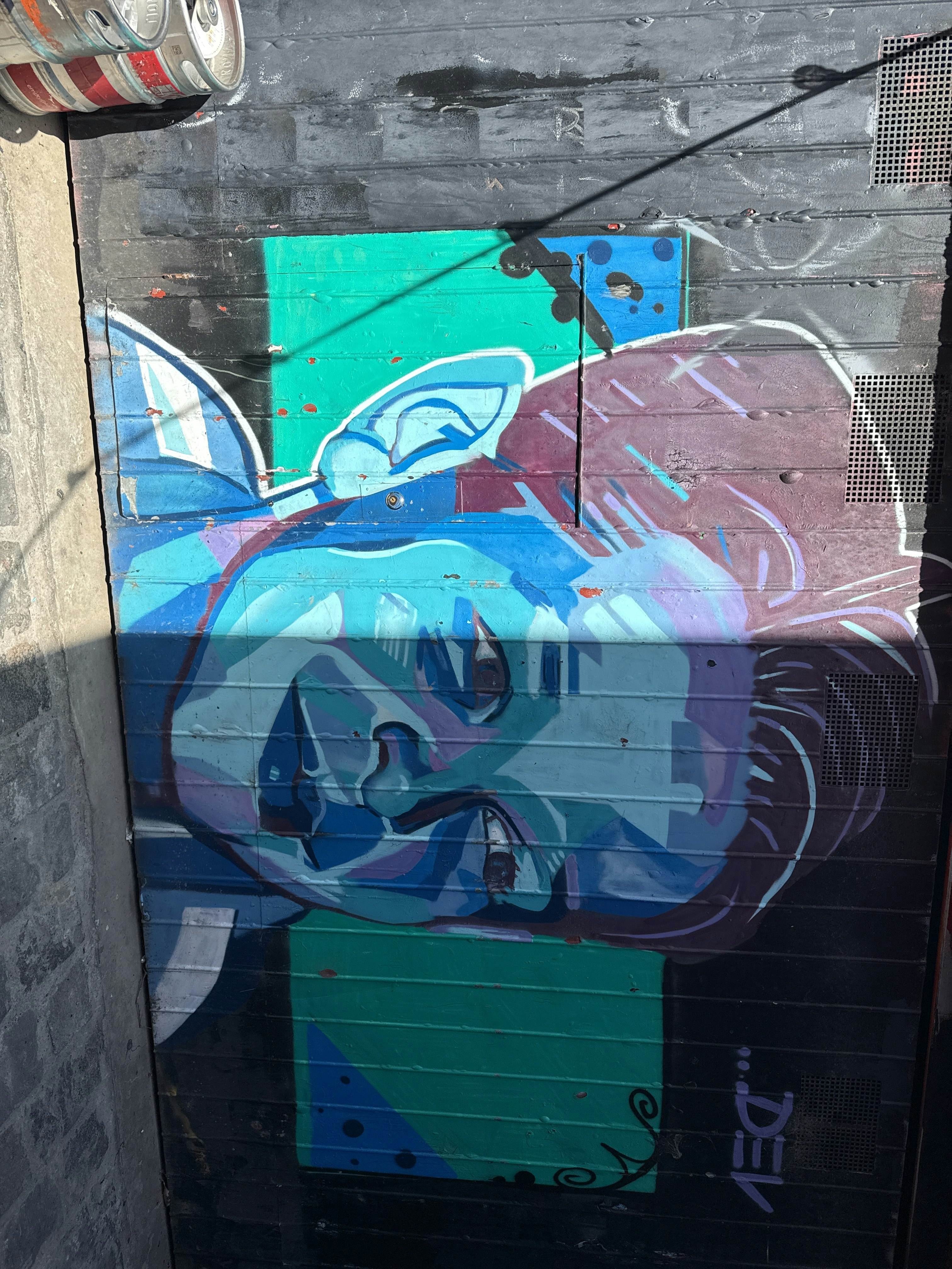 Player photo from Walls That Speak: Melbourne's Street Art walking tour in Melbourne