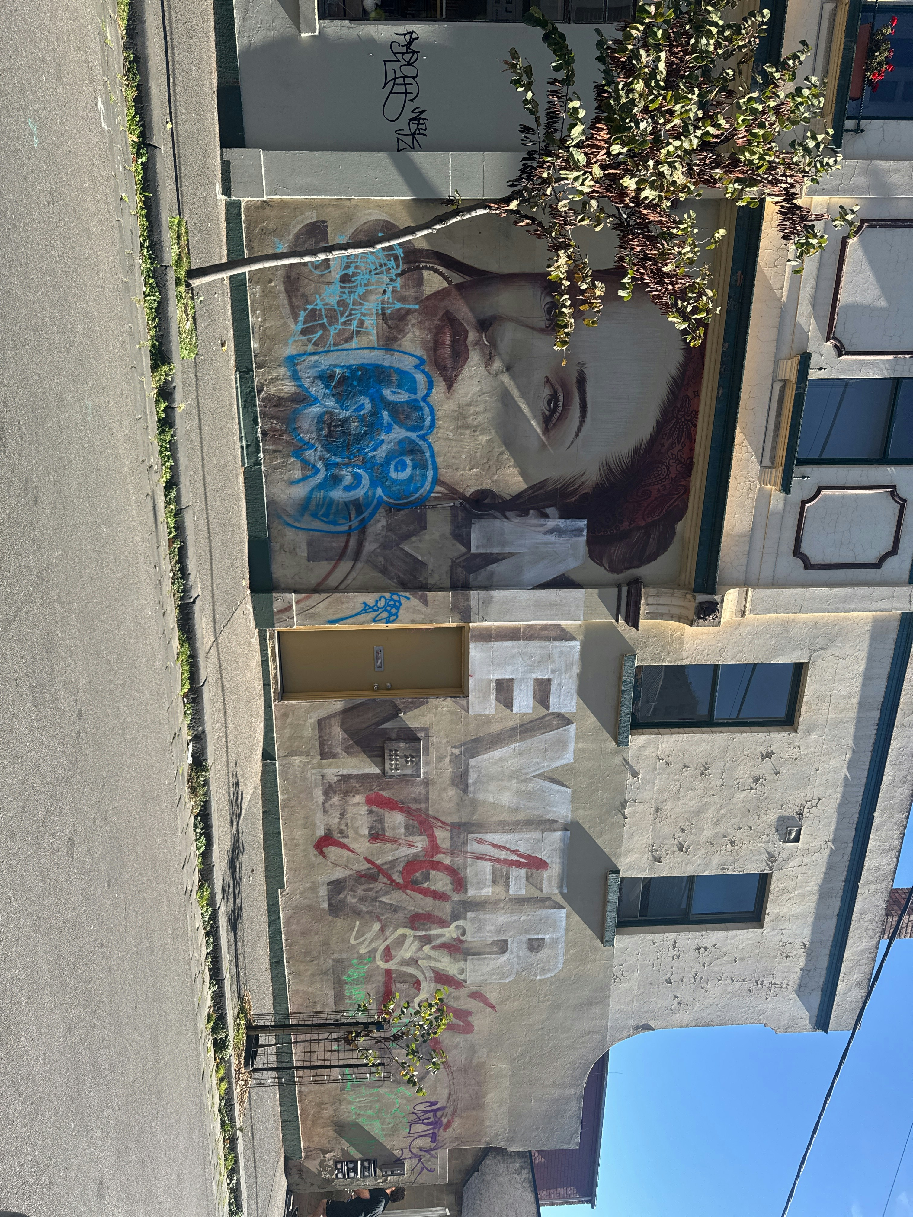 Player photo from Walls That Speak: Melbourne's Street Art walking tour in Melbourne