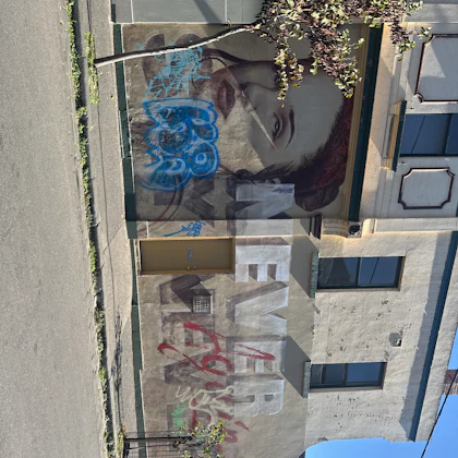 Player photo from Walls That Speak: Melbourne's Street Art walking tour in Melbourne