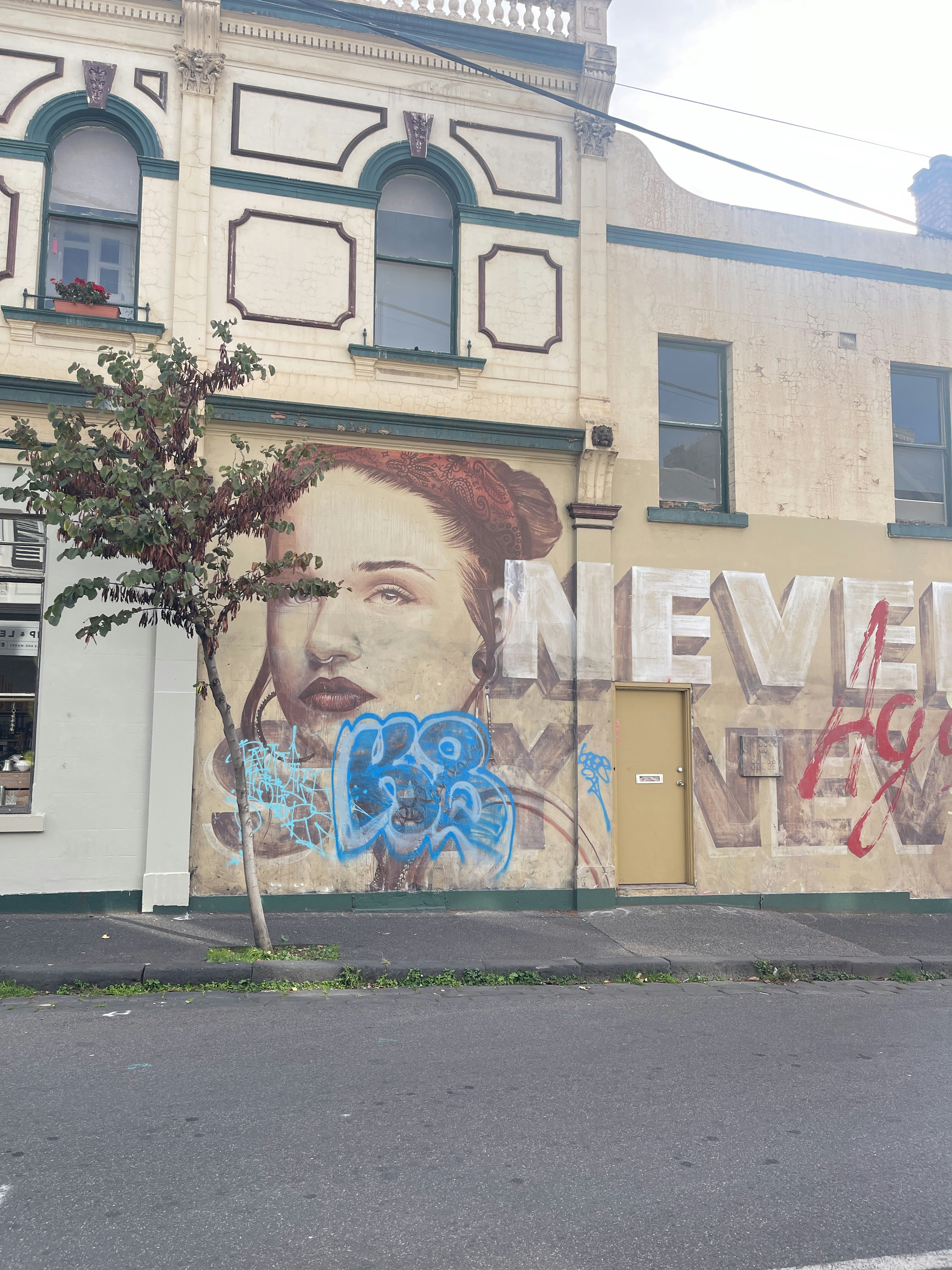 Player photo from Walls That Speak: Melbourne's Street Art walking tour in Melbourne