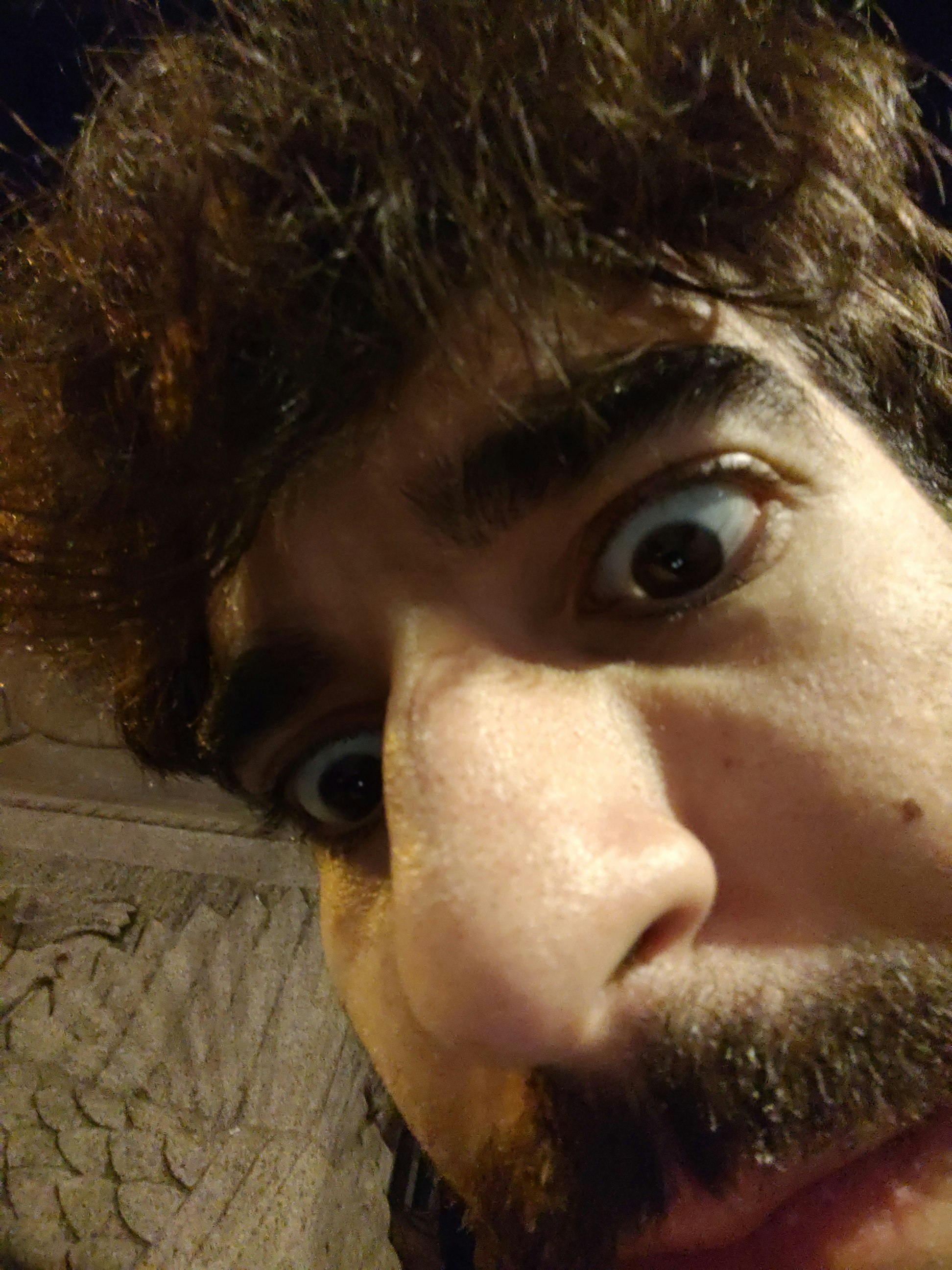 Player photo from Old Town Bologna: Murder Mystery walking tour in Bologna