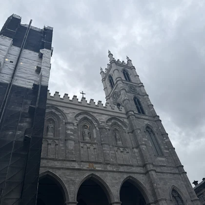 Player photo from Old Town Montreal: The Culture Tsunami walking tour in Montreal