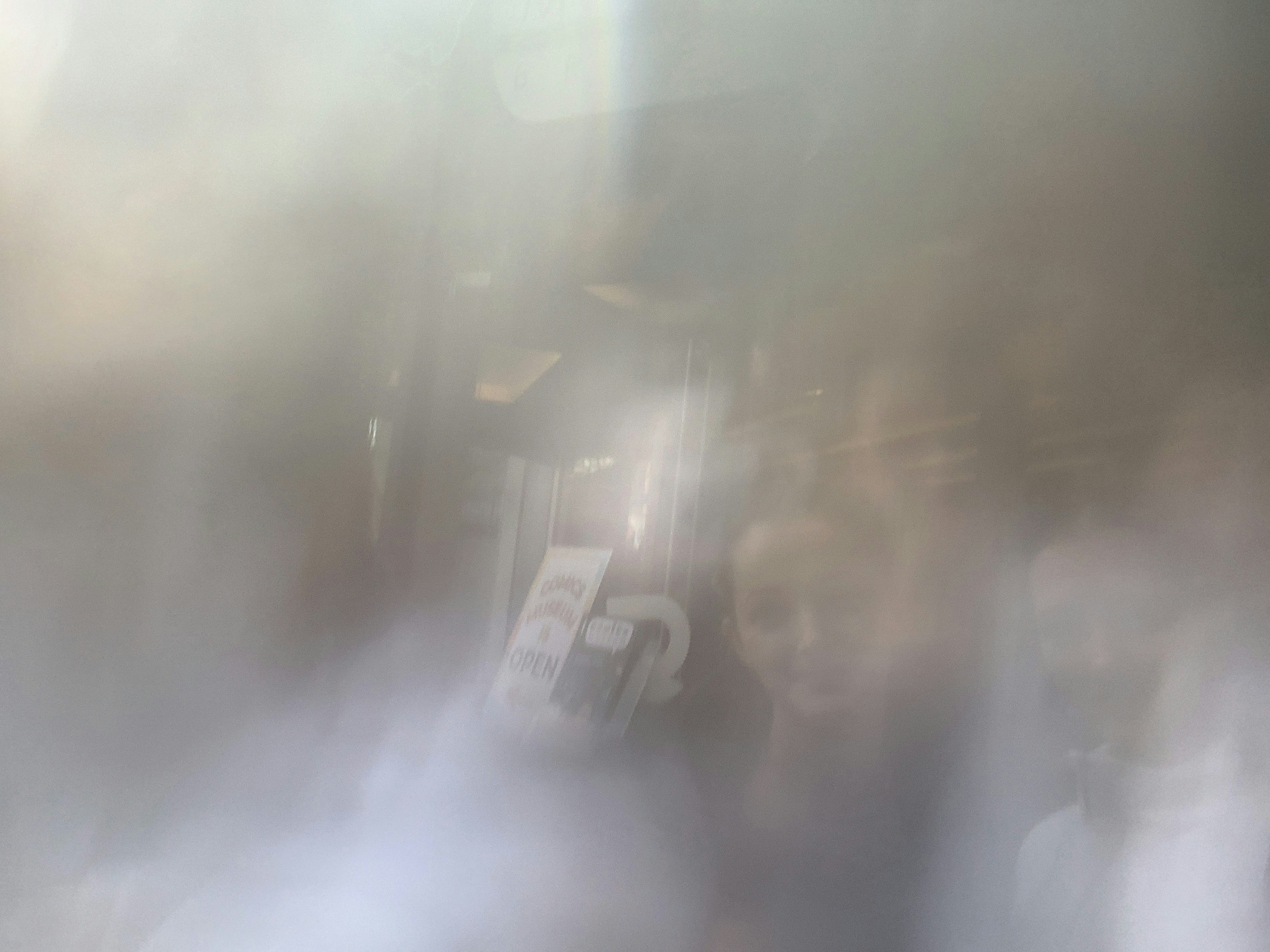 Player photo from Brussels, Capital of Comics: Heraclaws and Pawstrid and the Magical Murals walking tour in Brussels