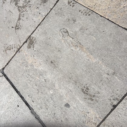 Player photo from The Crown London: Royal Family walking tour in London