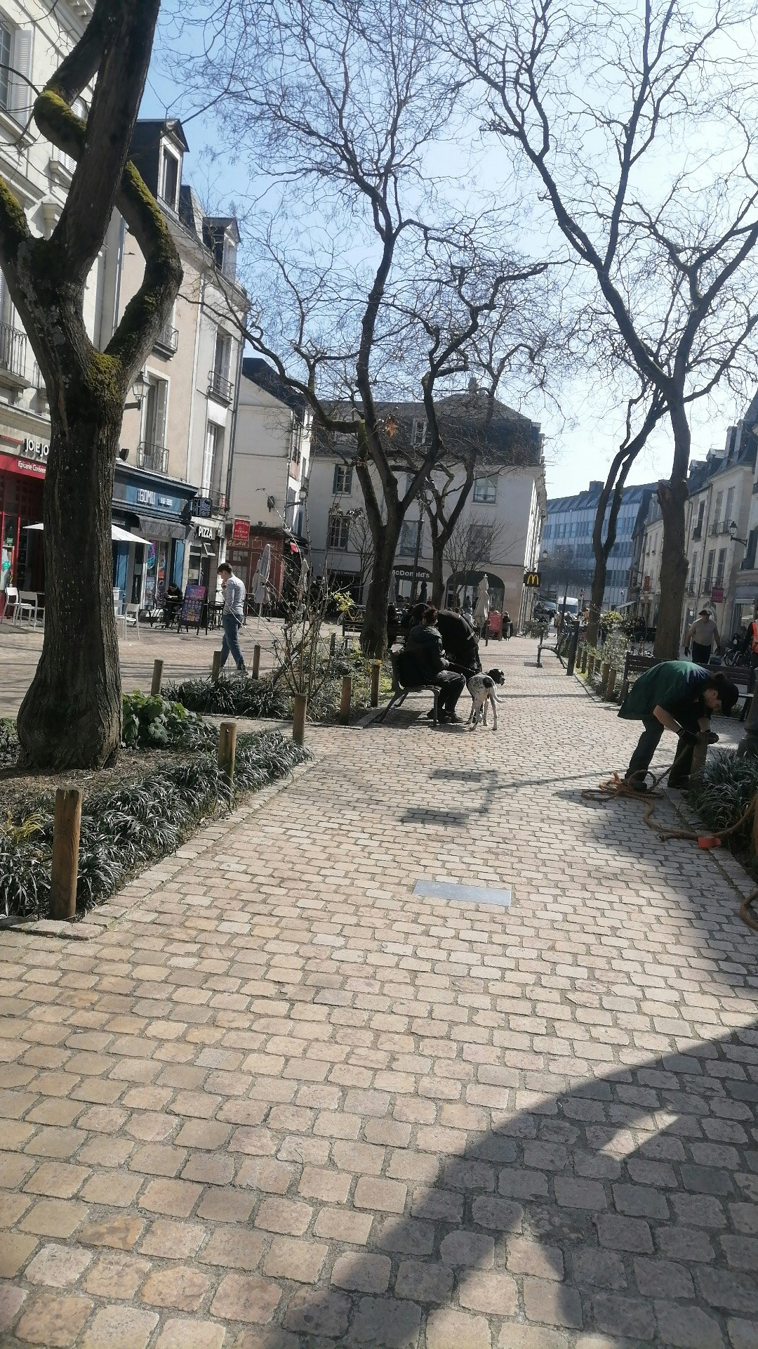 Player photo from European Tours  walking tour in Tours