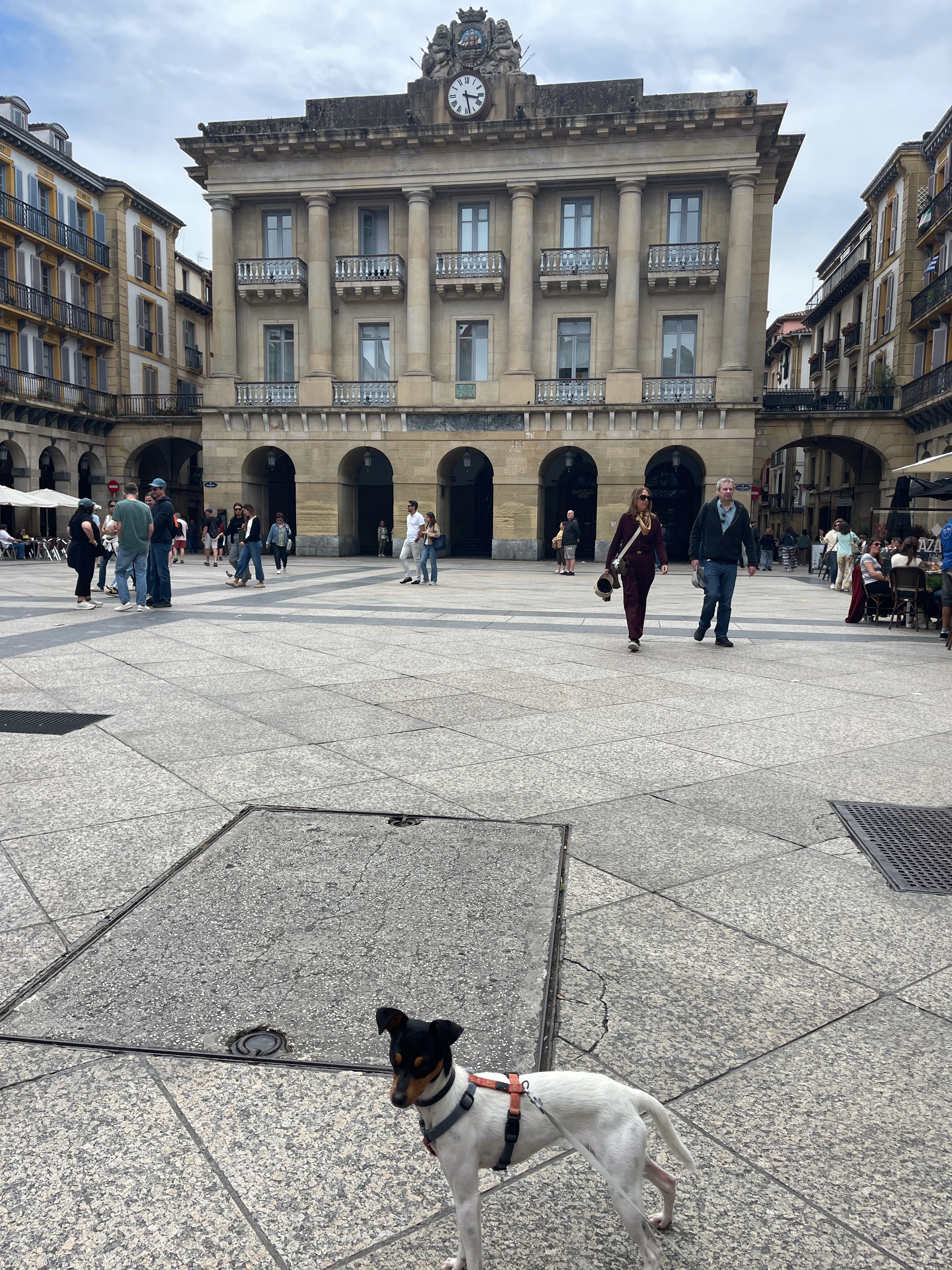 Player photo from San Sebastian: The Basque Goddess of the Old Town