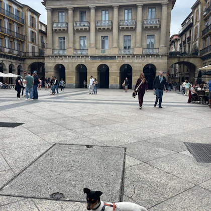 Player photo from San Sebastian: The Basque Goddess of the Old Town walking tour in San Sebastián
