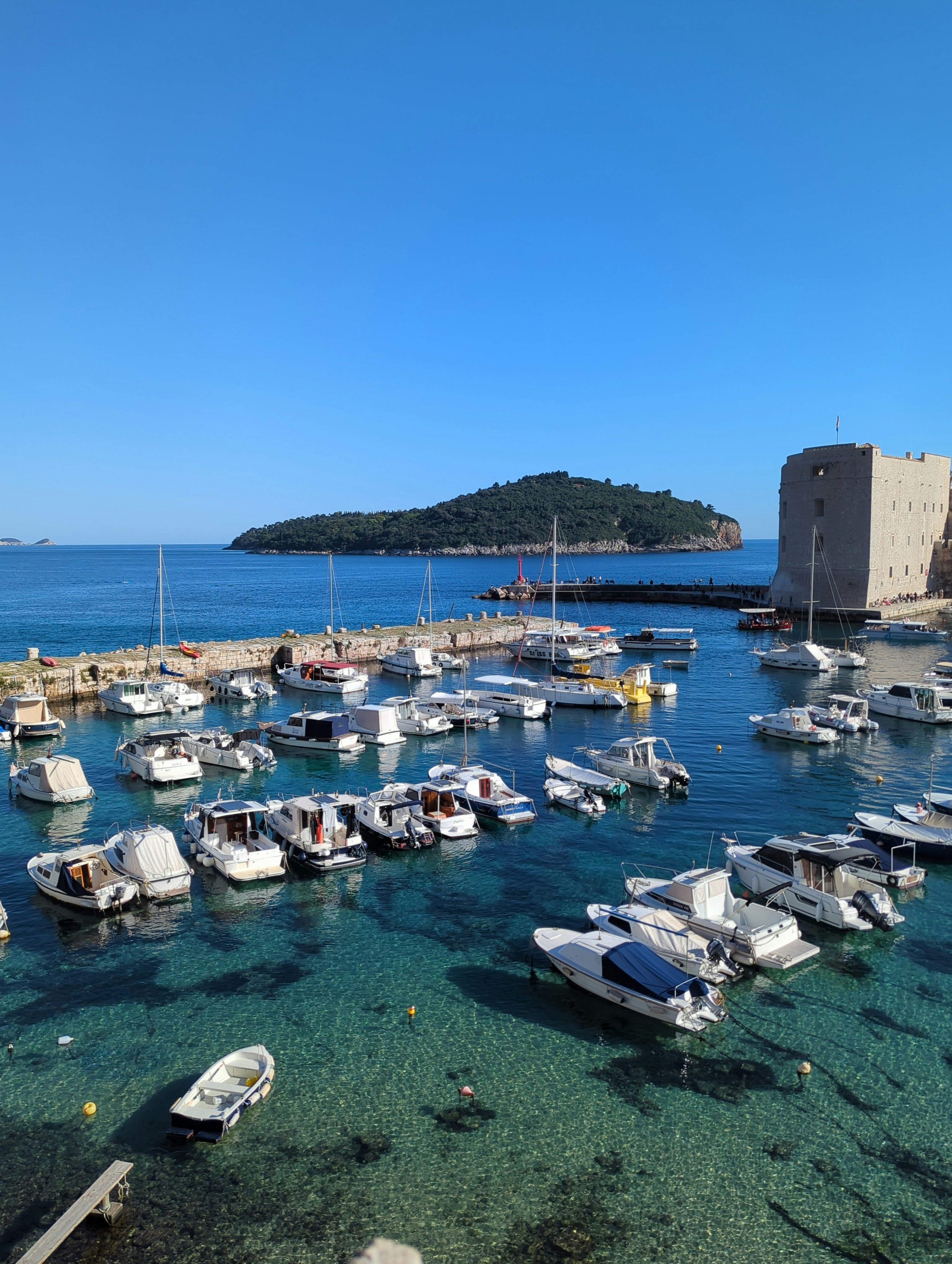 Player photo from Medieval Dubrovnik: Time Travel Adventure