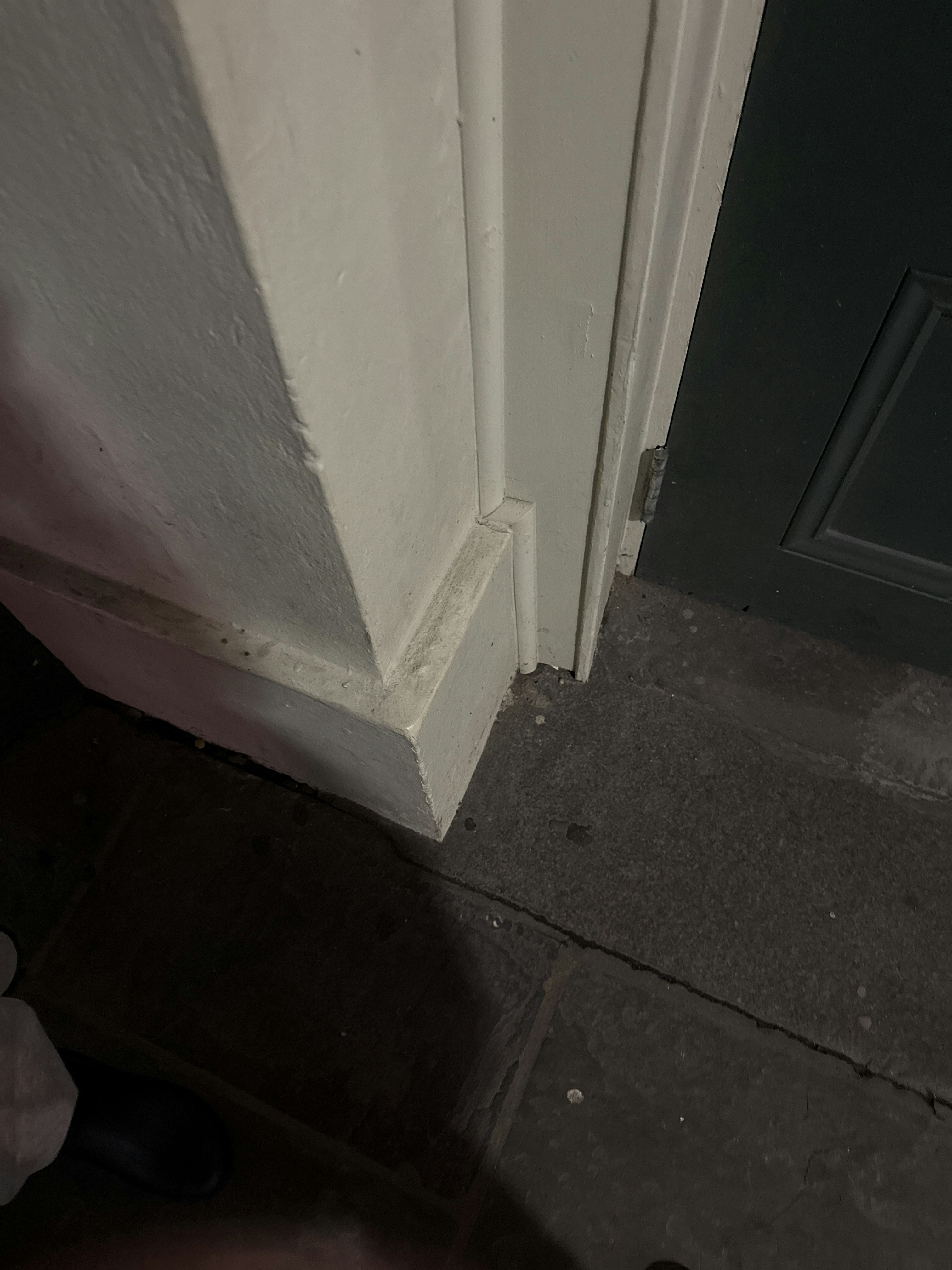 Player photo from New Orleans French Quarter: The Lost Treasure walking tour in New Orleans