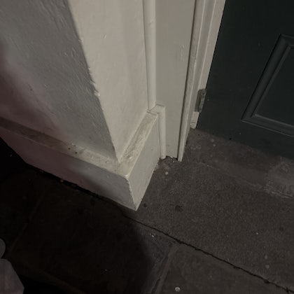 Player photo from New Orleans French Quarter: The Lost Treasure walking tour in New Orleans