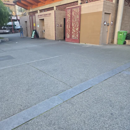 Player photo from Chinatown Highlights: Warrior Cat, San Francisco walking tour in San Francisco