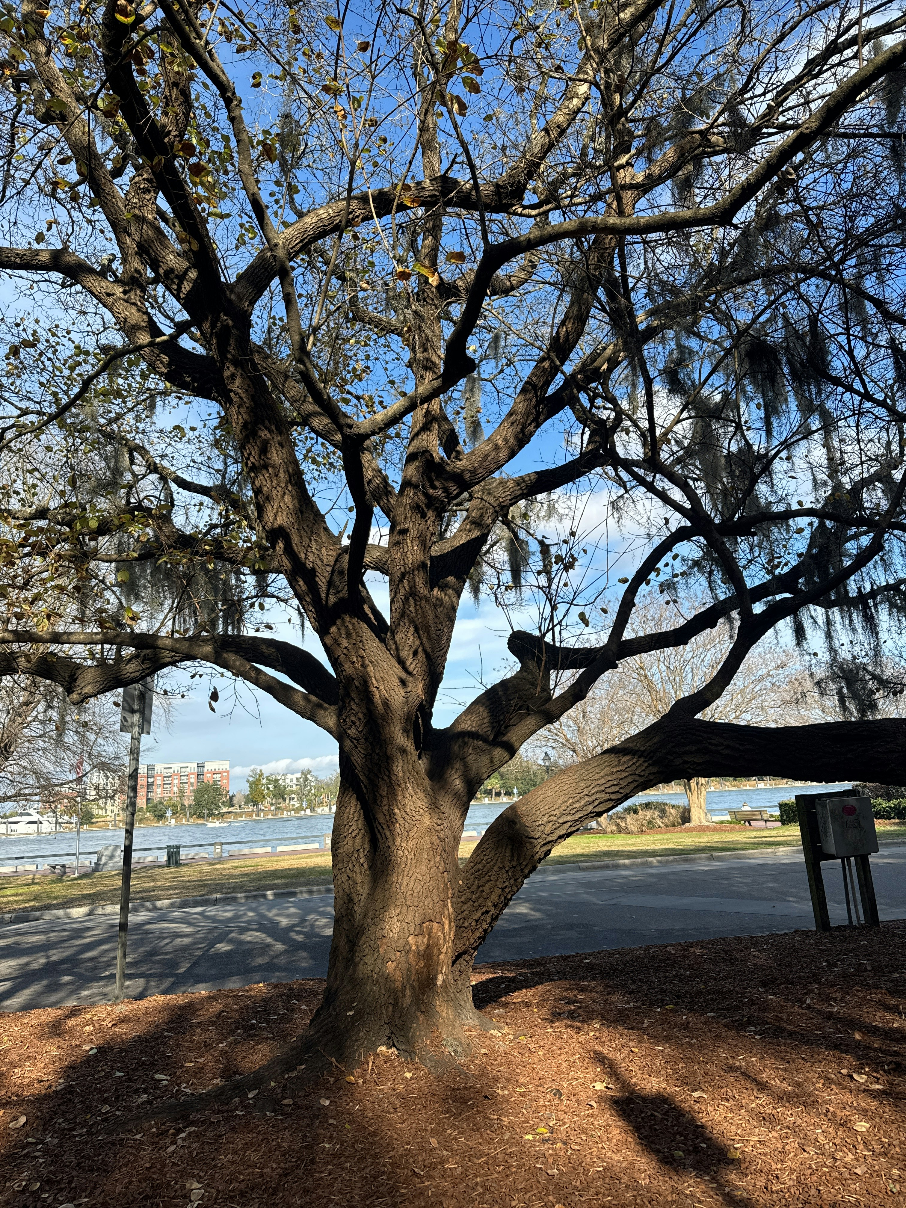 Player photo from Captured by Pirates in Savannah walking tour in Savannah