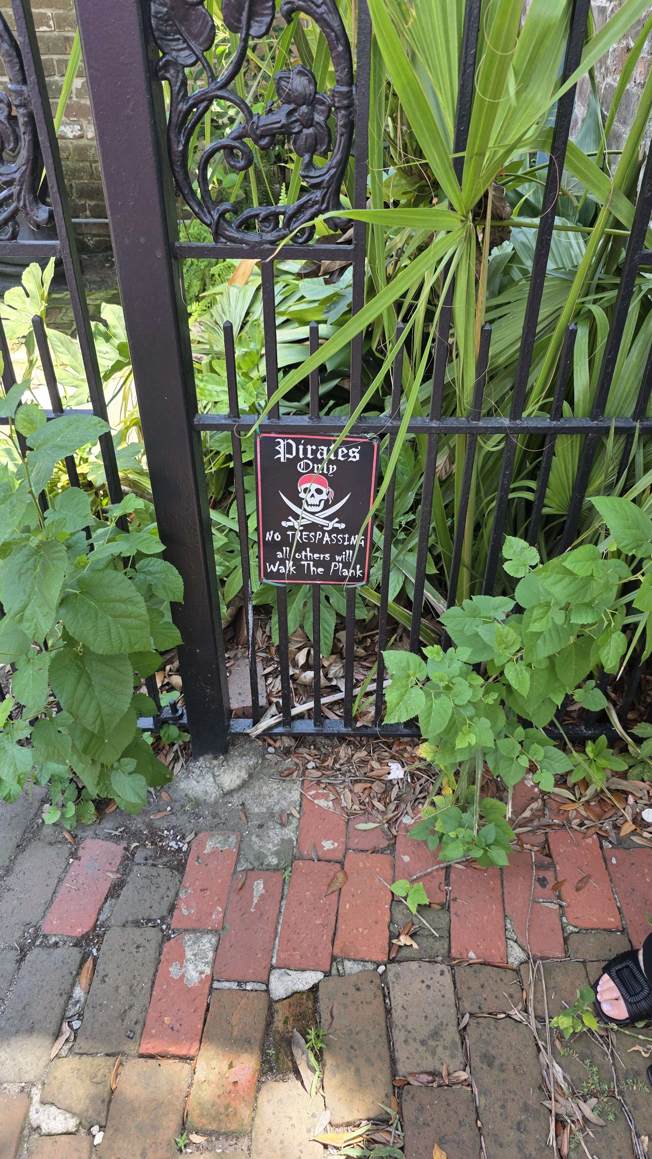 Player photo from Captured by Pirates in Savannah walking tour in Savannah
