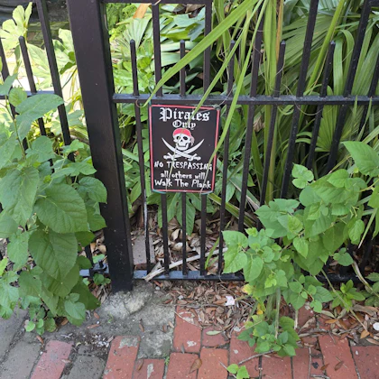 Player photo from Captured by Pirates in Savannah walking tour in Savannah