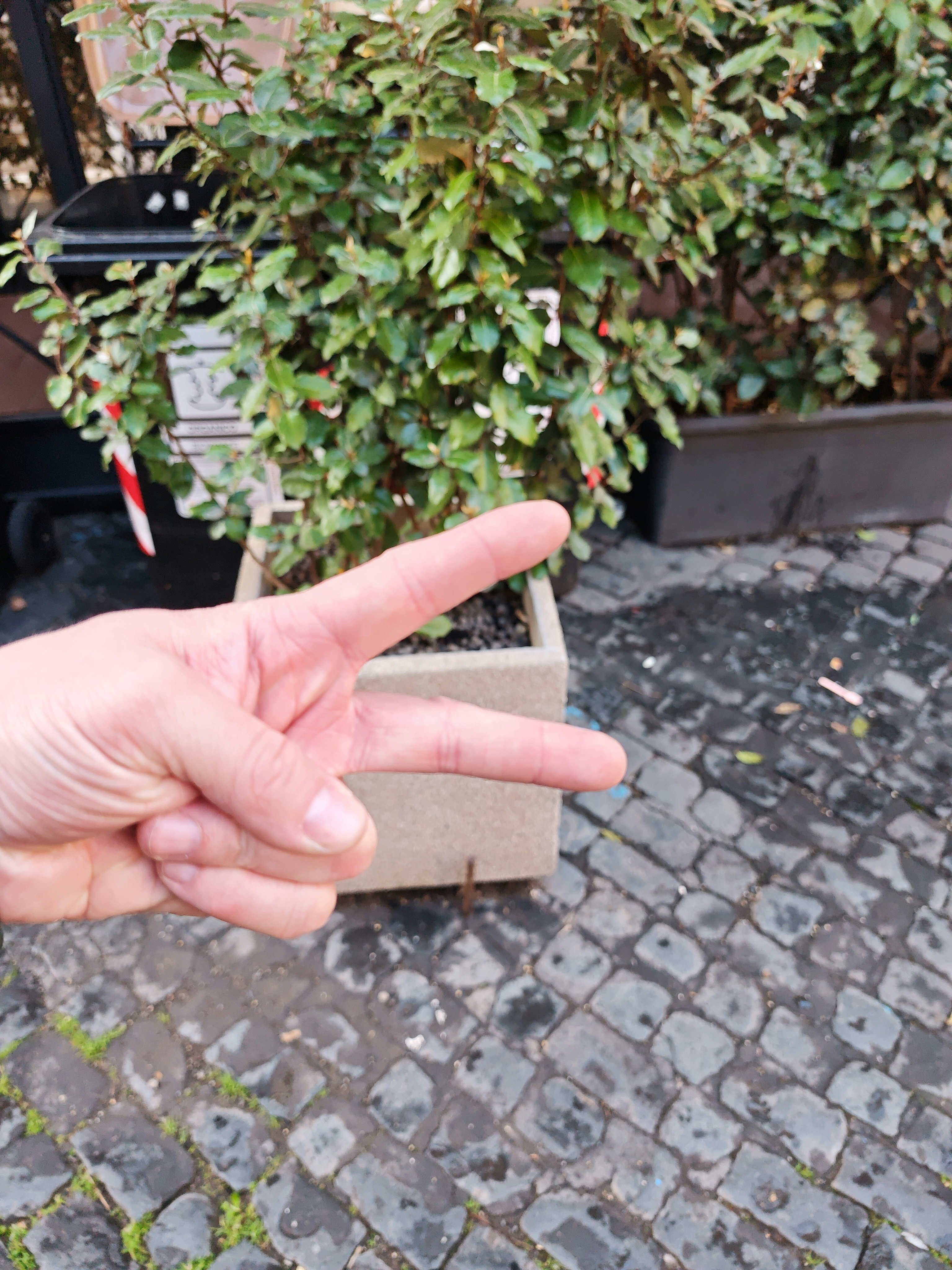 Player photo from Hidden Gems of Trastevere: Return Home walking tour in Rome