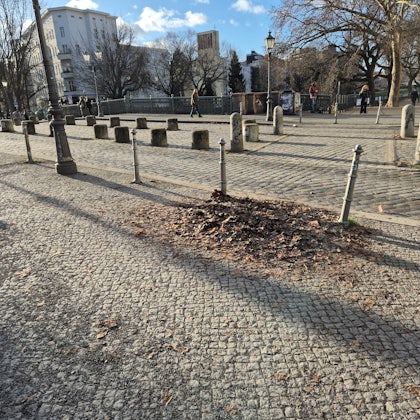 Player photo from Kreuzberg Highlights Berlin: The Secret Society walking tour in Berlin