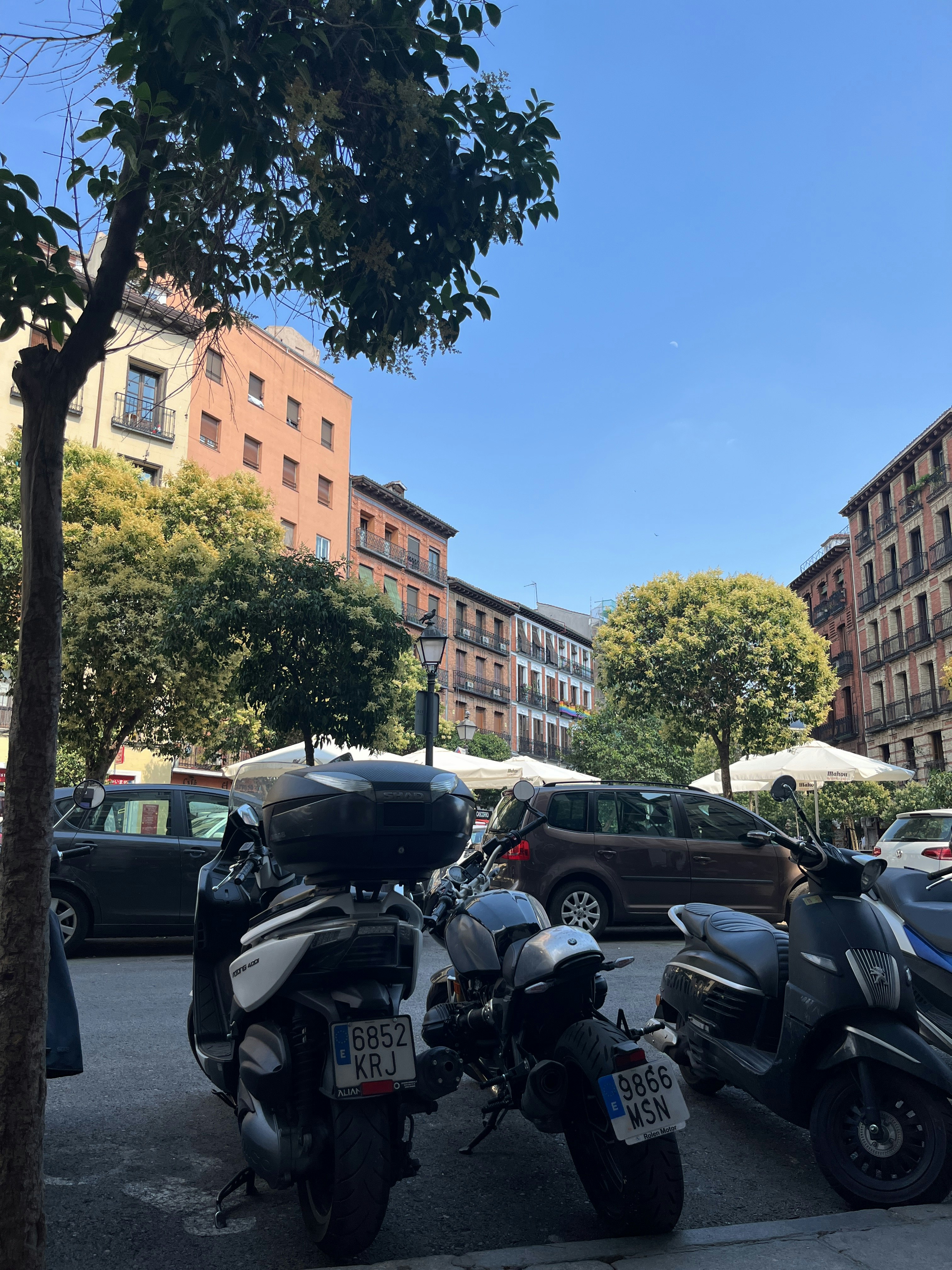 Player photo from Madrid Highlights: La Latina Quarter walking tour in Madrid