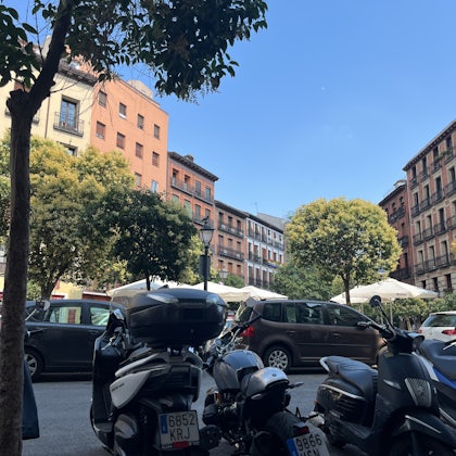 Player photo from Madrid Highlights: La Latina Quarter walking tour in Madrid