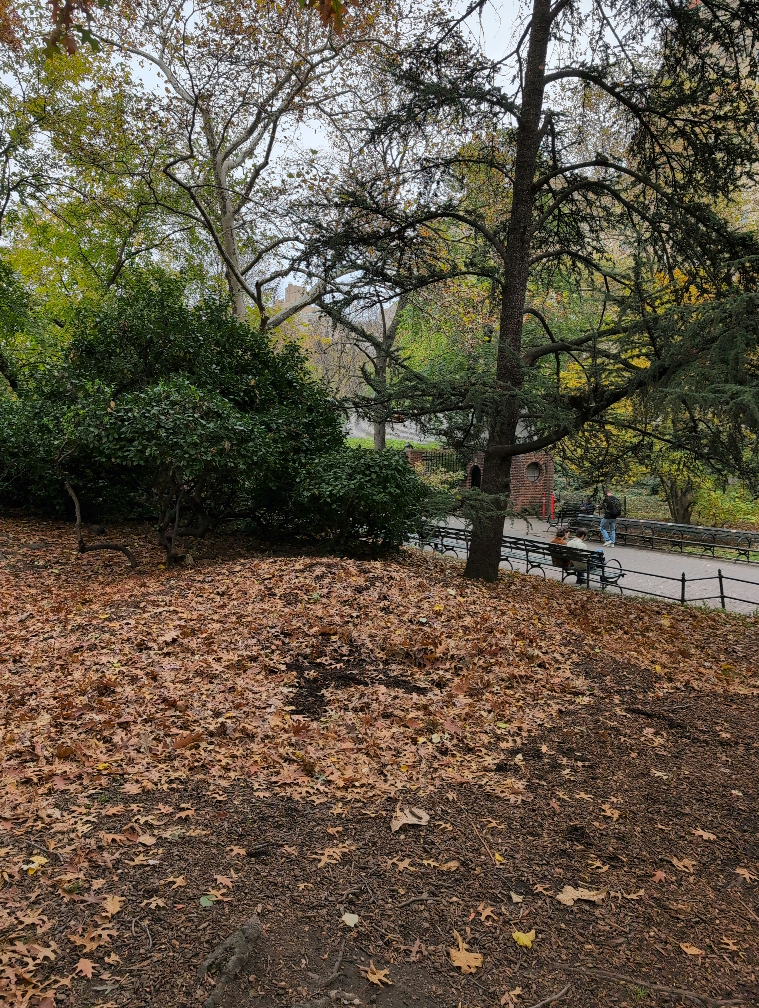 Player photo from Central Park Highlights: Stolen Archives Hunt Walking Tour & Escape Game walking tour in New York City