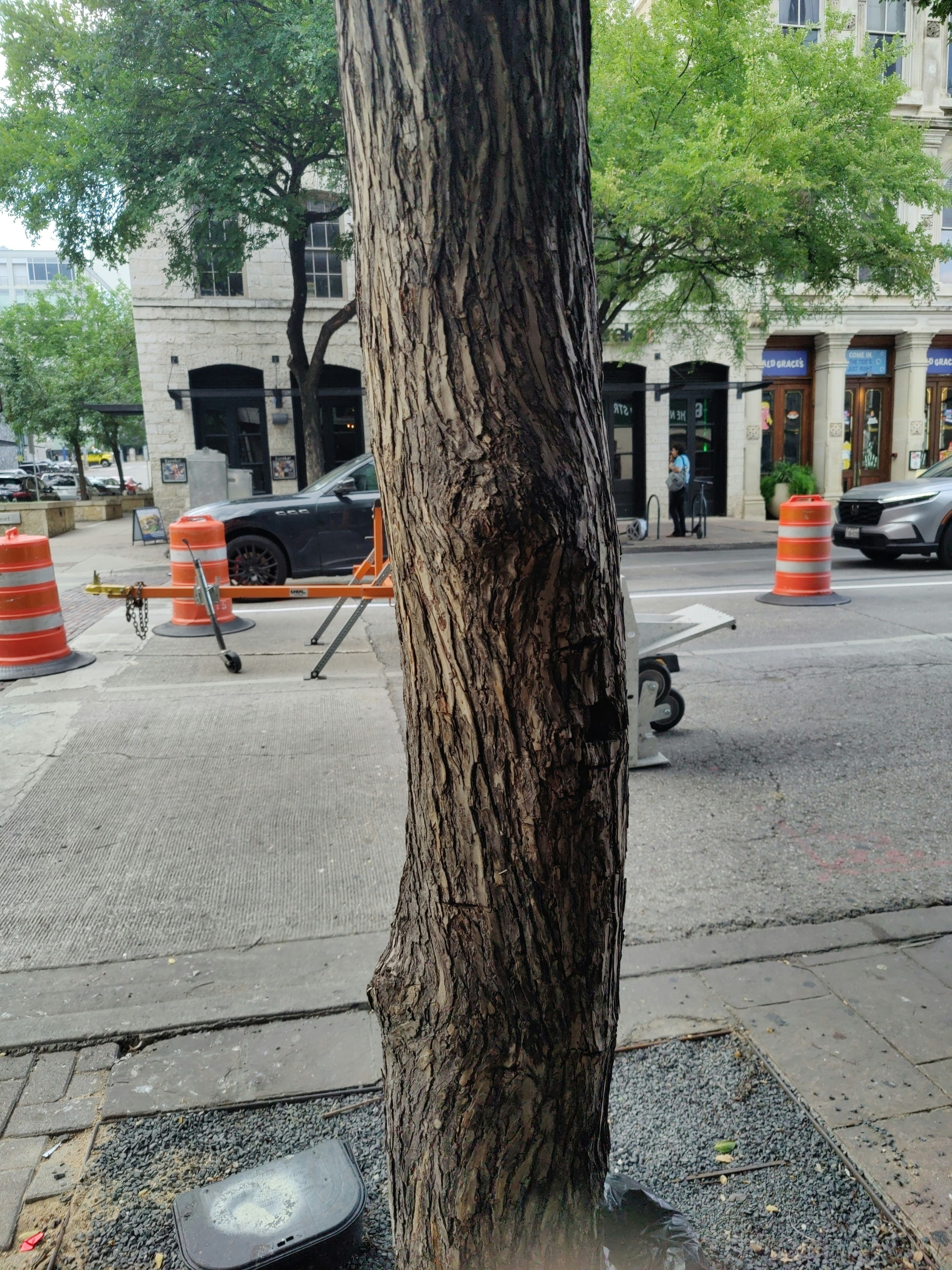 Player photo from One More Moment – Ghosts of Austin walking tour in Austin