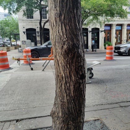 Player photo from One More Moment – Ghosts of Austin walking tour in Austin