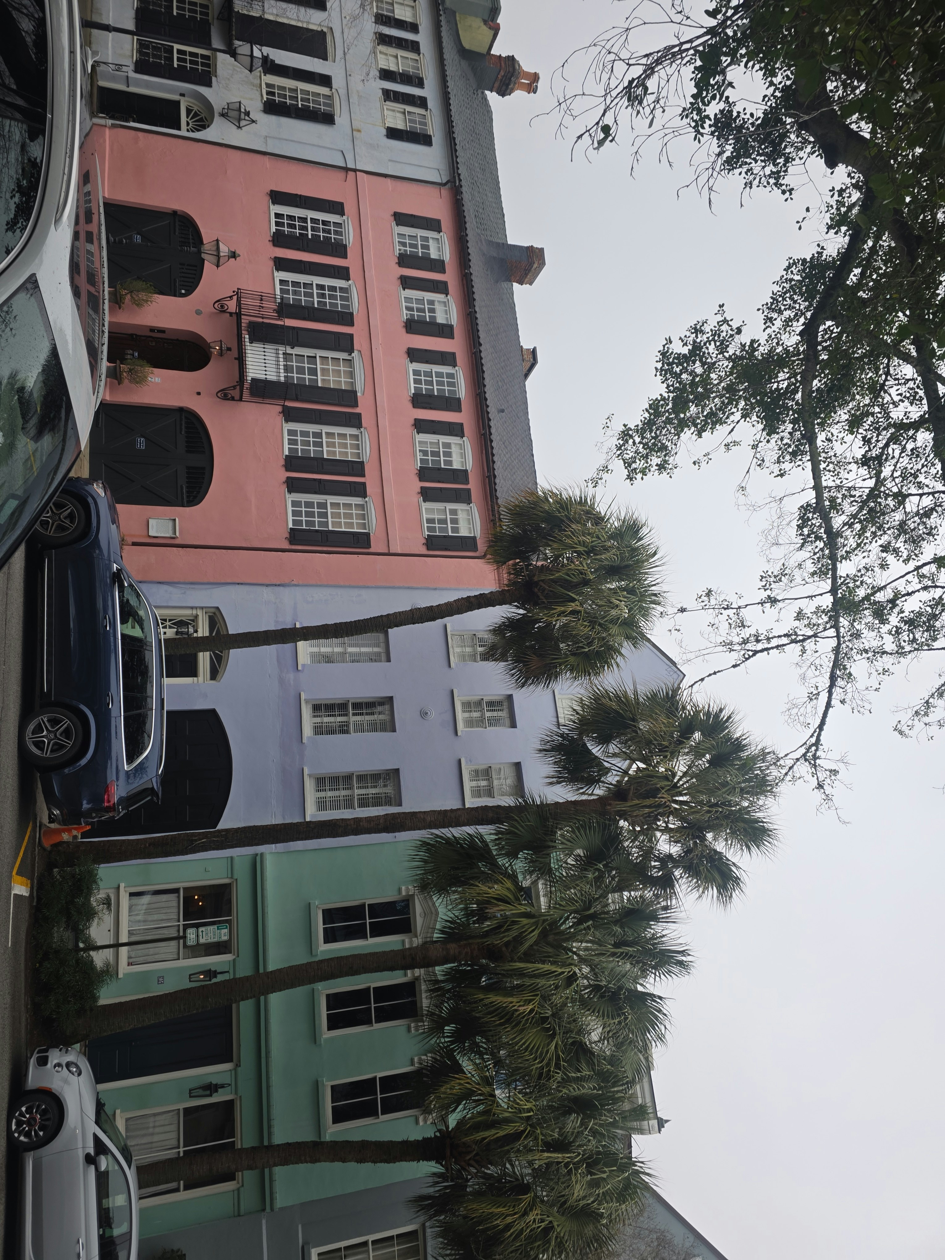 Player photo from Historic Charleston: Charming Downtown walking tour in Charleston