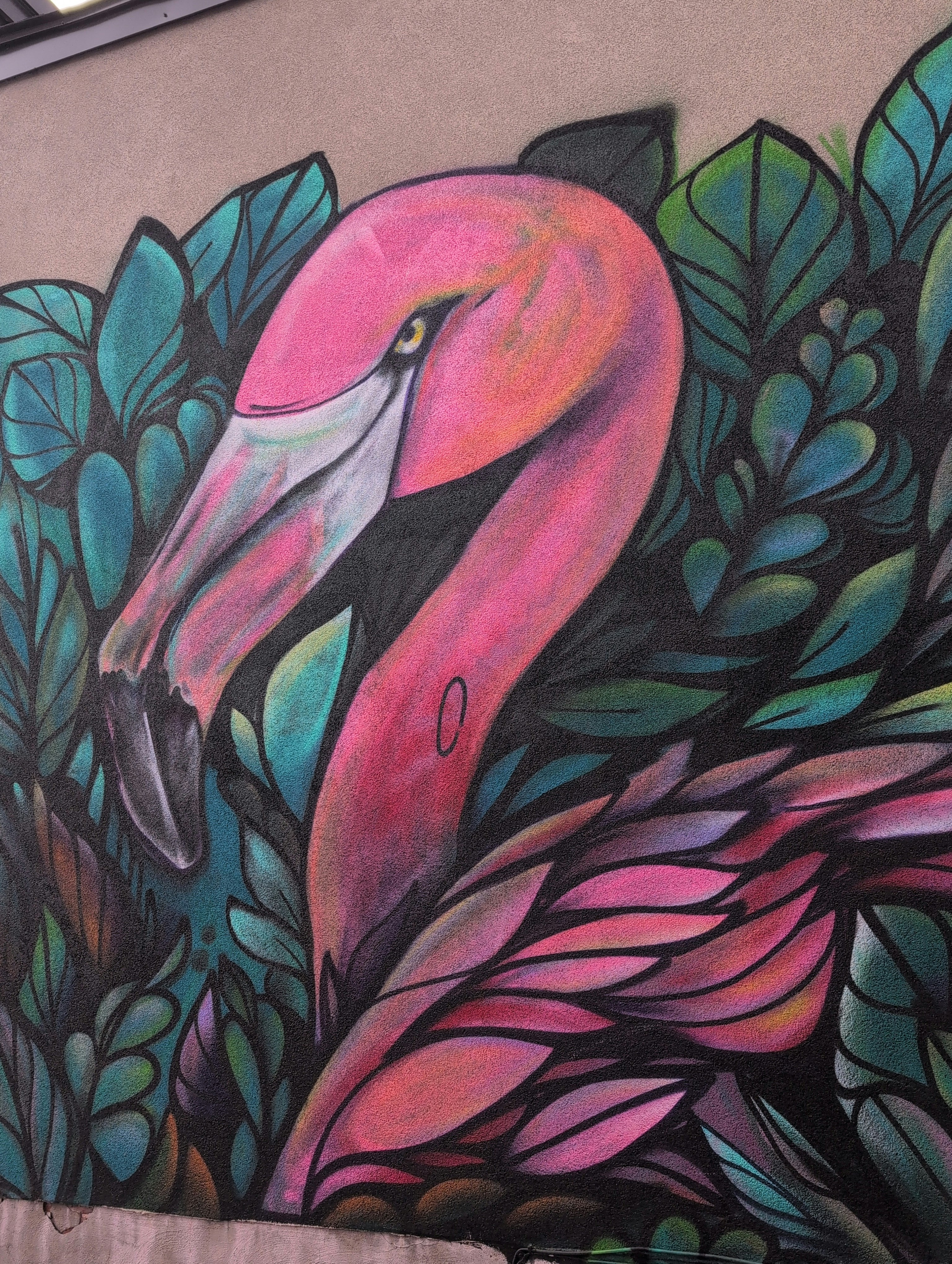 Player photo from Ottawa: In the Eyes of a Street Artist walking tour in Ottawa