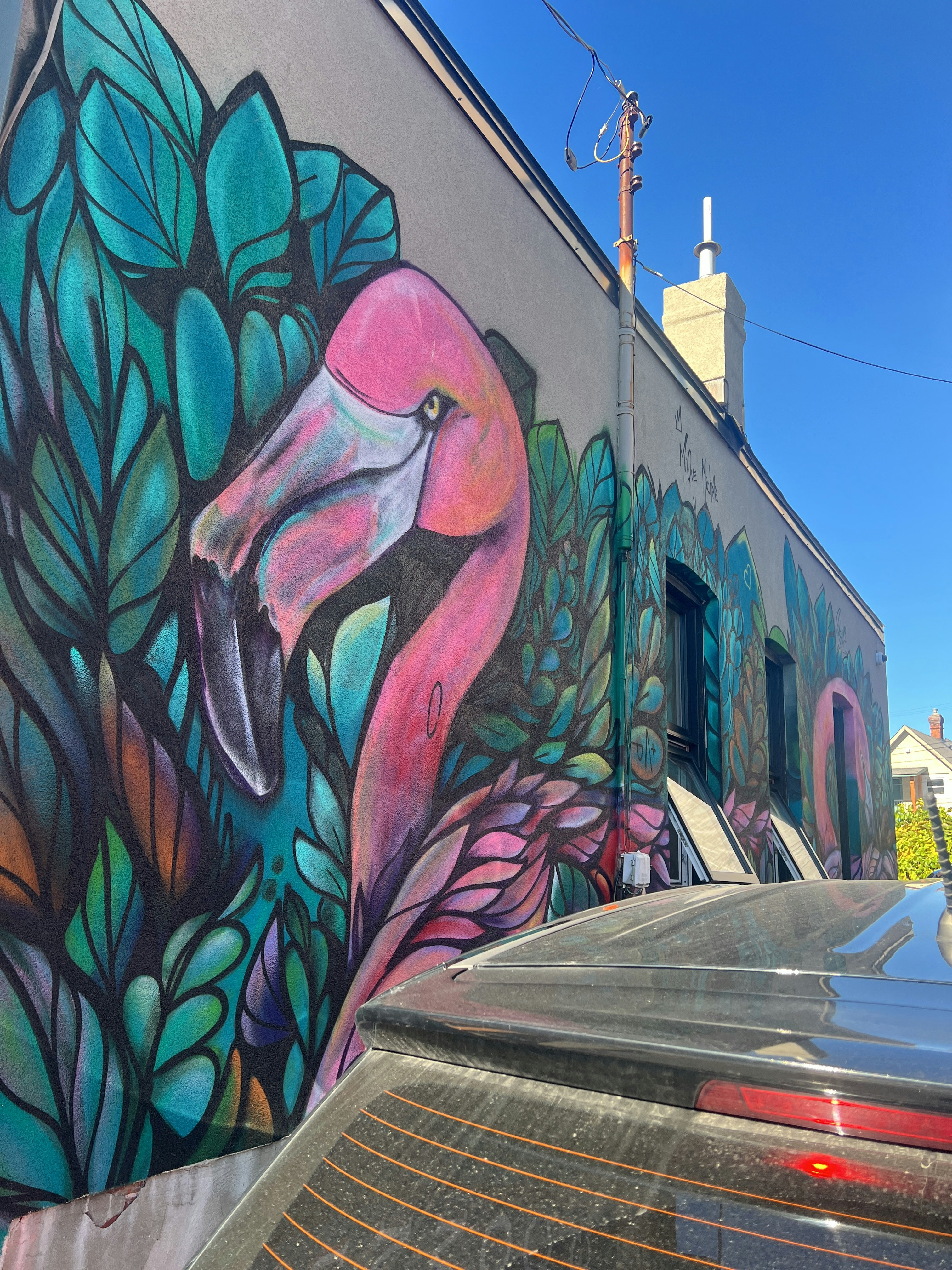Player photo from Ottawa: In the Eyes of a Street Artist walking tour in Ottawa