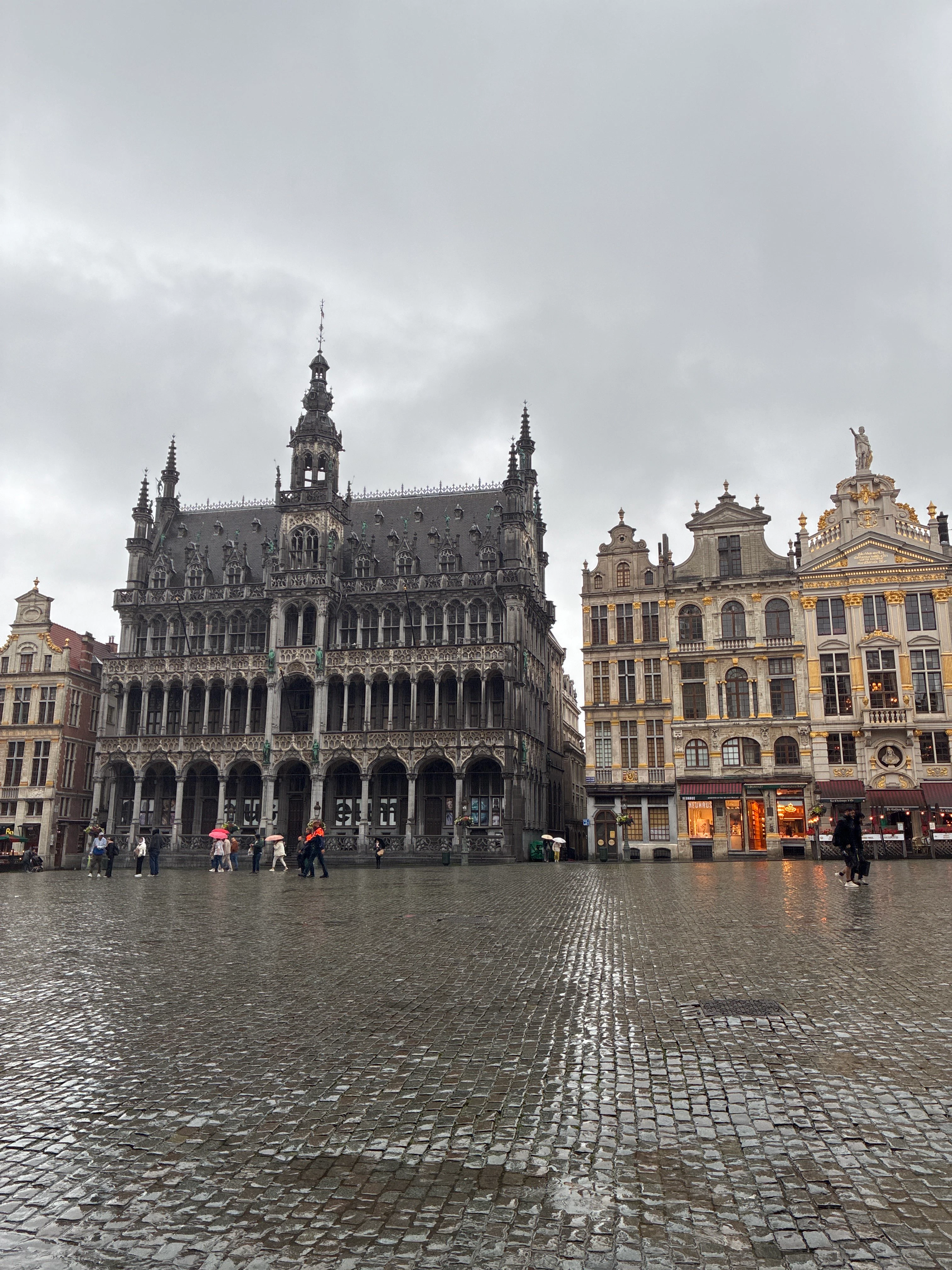 Player photo from The Brussels Brain Chase: Fame, Fortune, and Footsteps