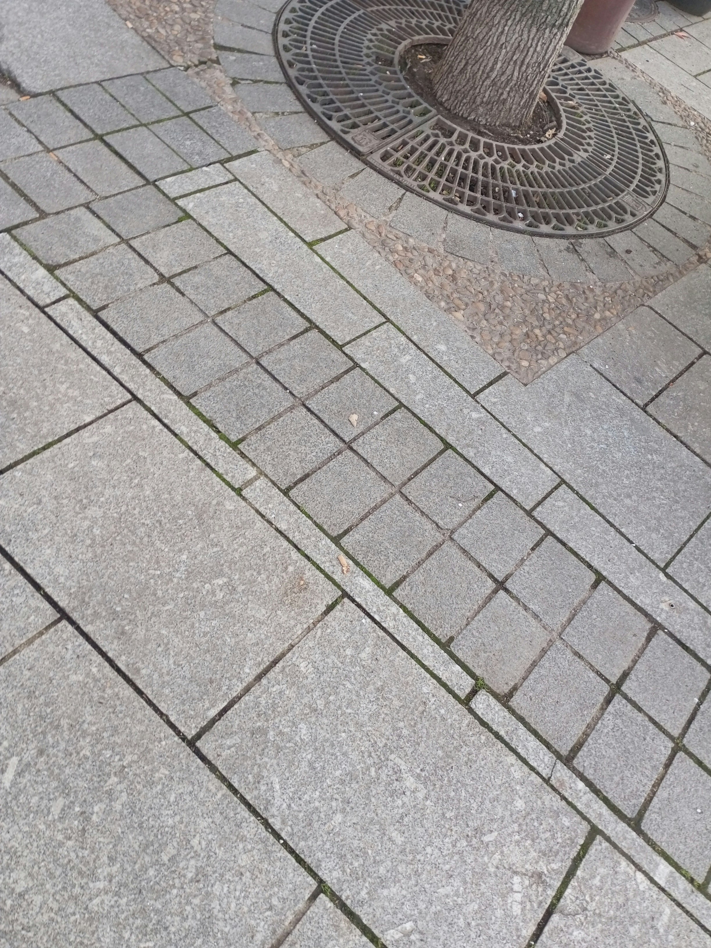 Player photo from Ghosts of Madrid walking tour in Madrid