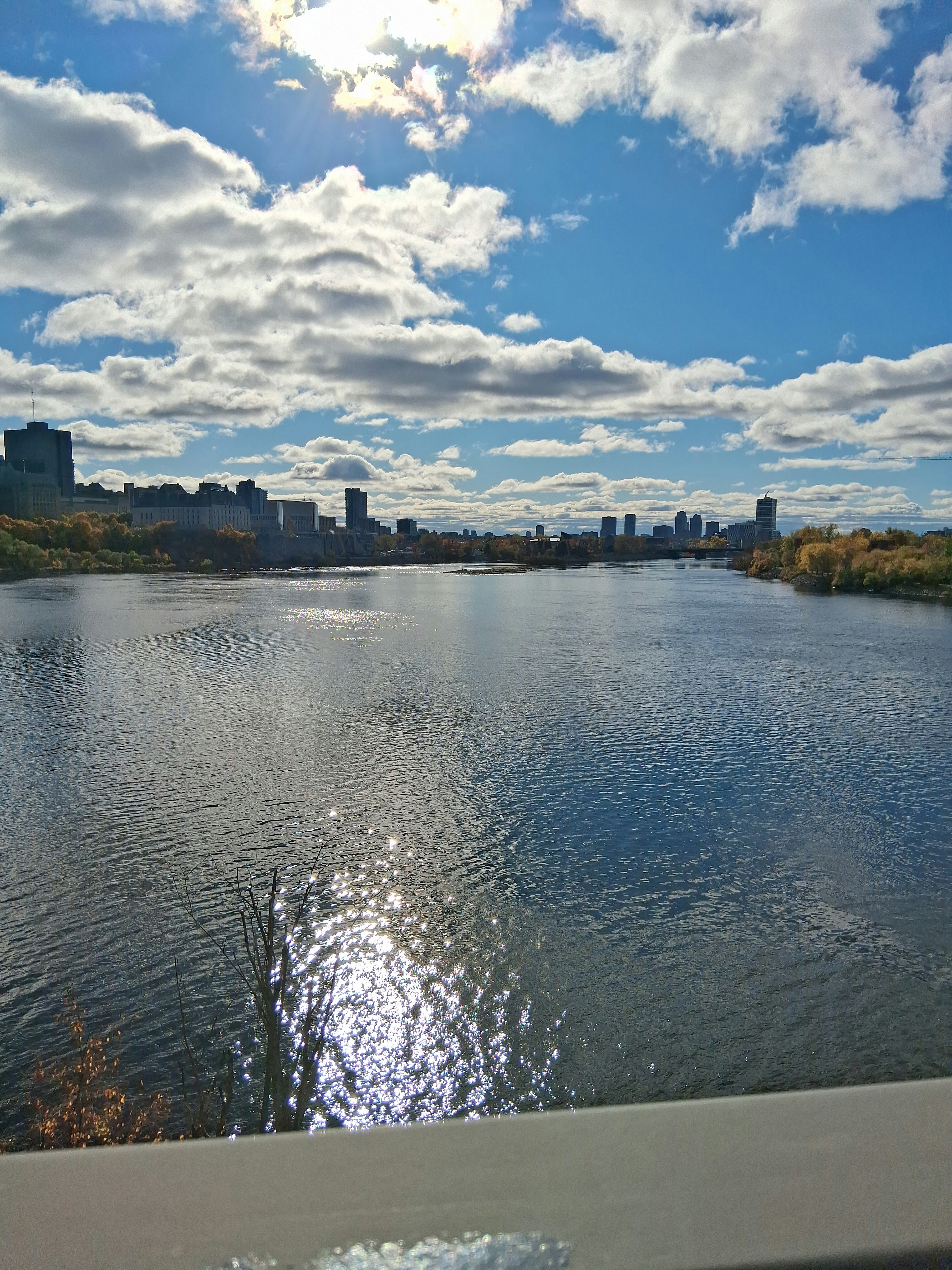 Player photo from The Cardinal Disappearance: Shadows of Downtown Ottawa walking tour in Ottawa