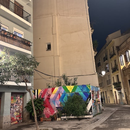 Player photo from Highlights of Valencia: Time Travel Hero walking tour in Valencia