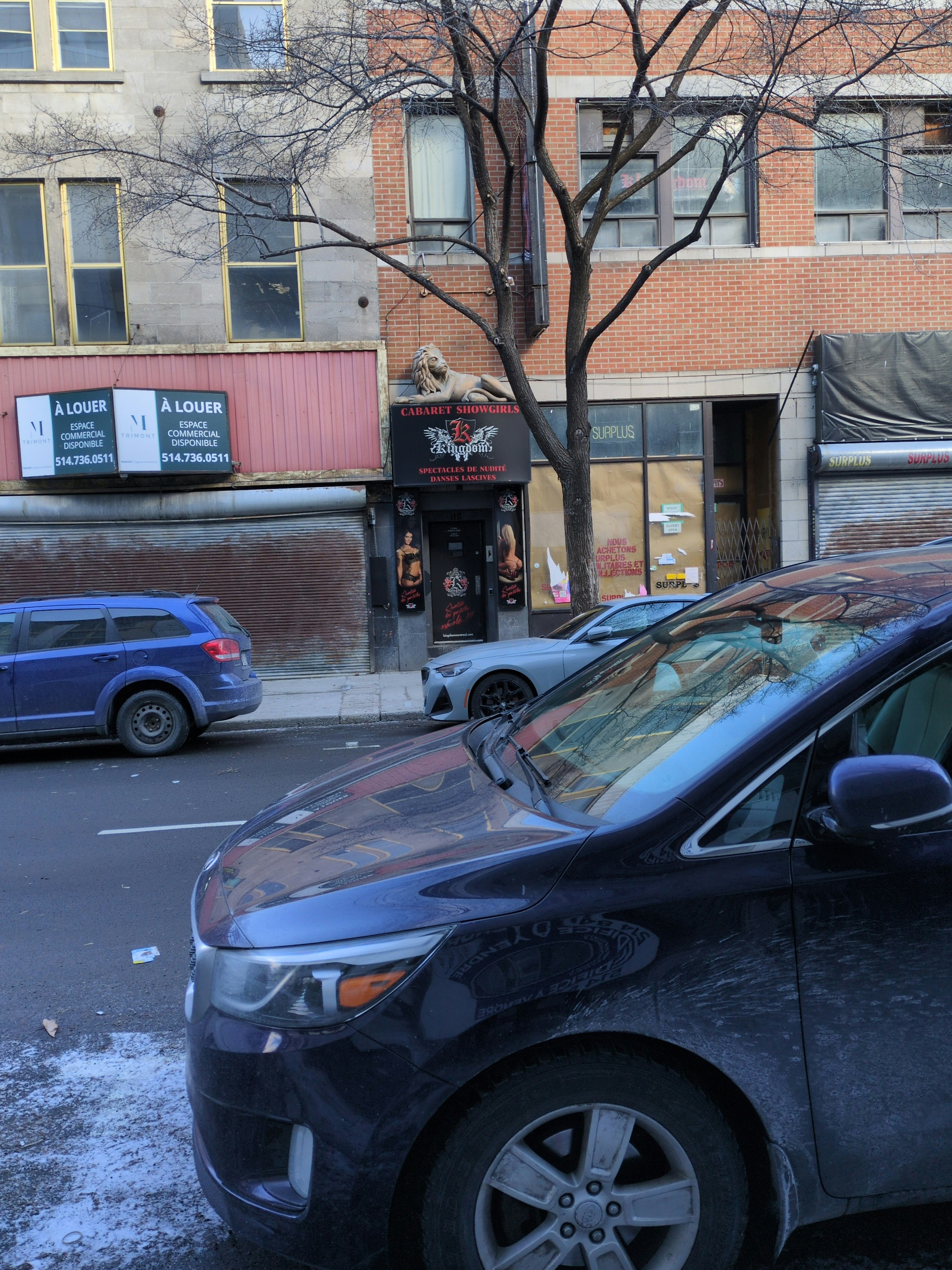 Player photo from Shadows of Prohibition: The Montreal Escape walking tour in Montreal