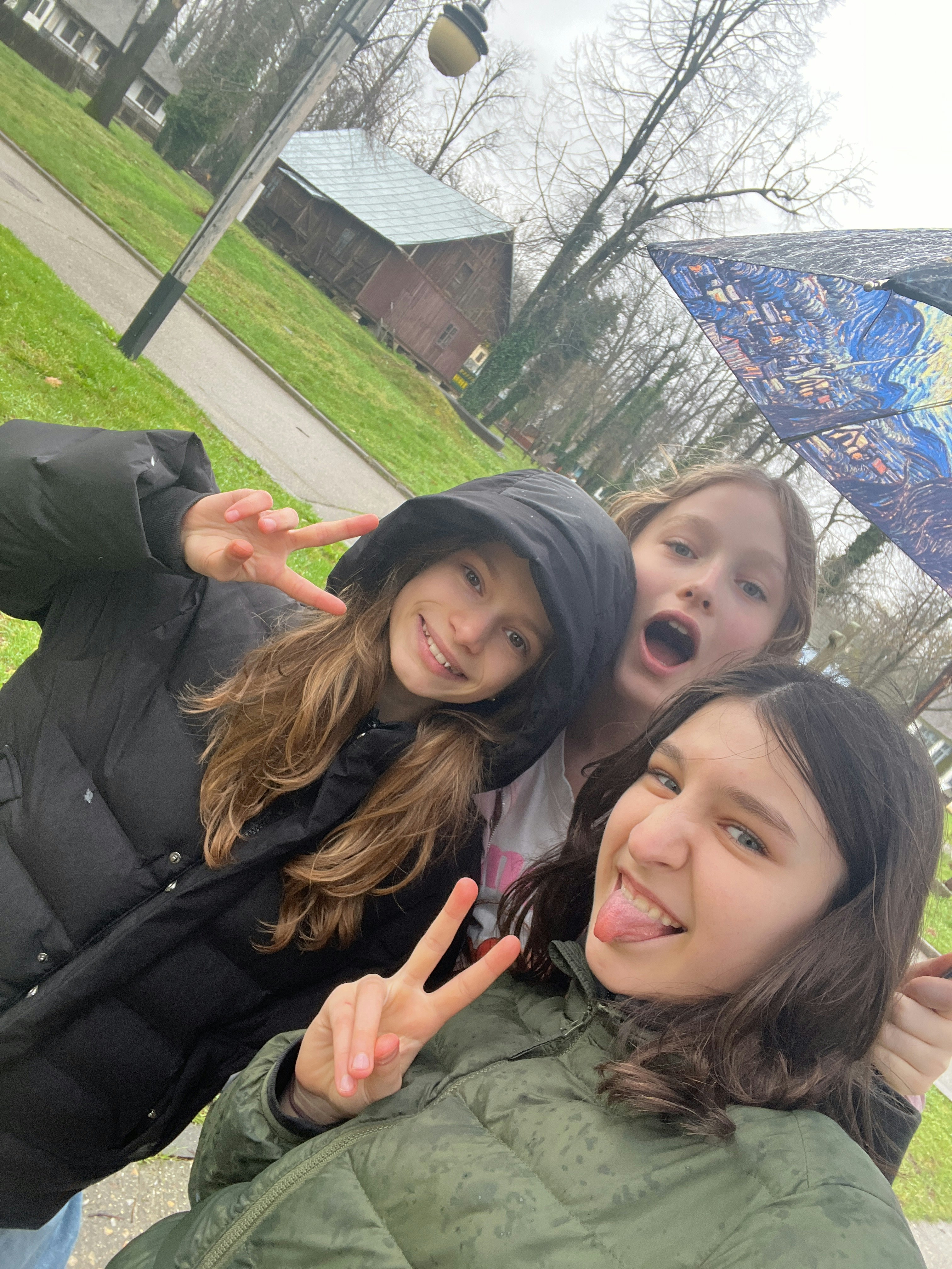 Player photo from Eroii satului: Păcală în Muzeul Satului Bucuresti walking tour in Bucharest