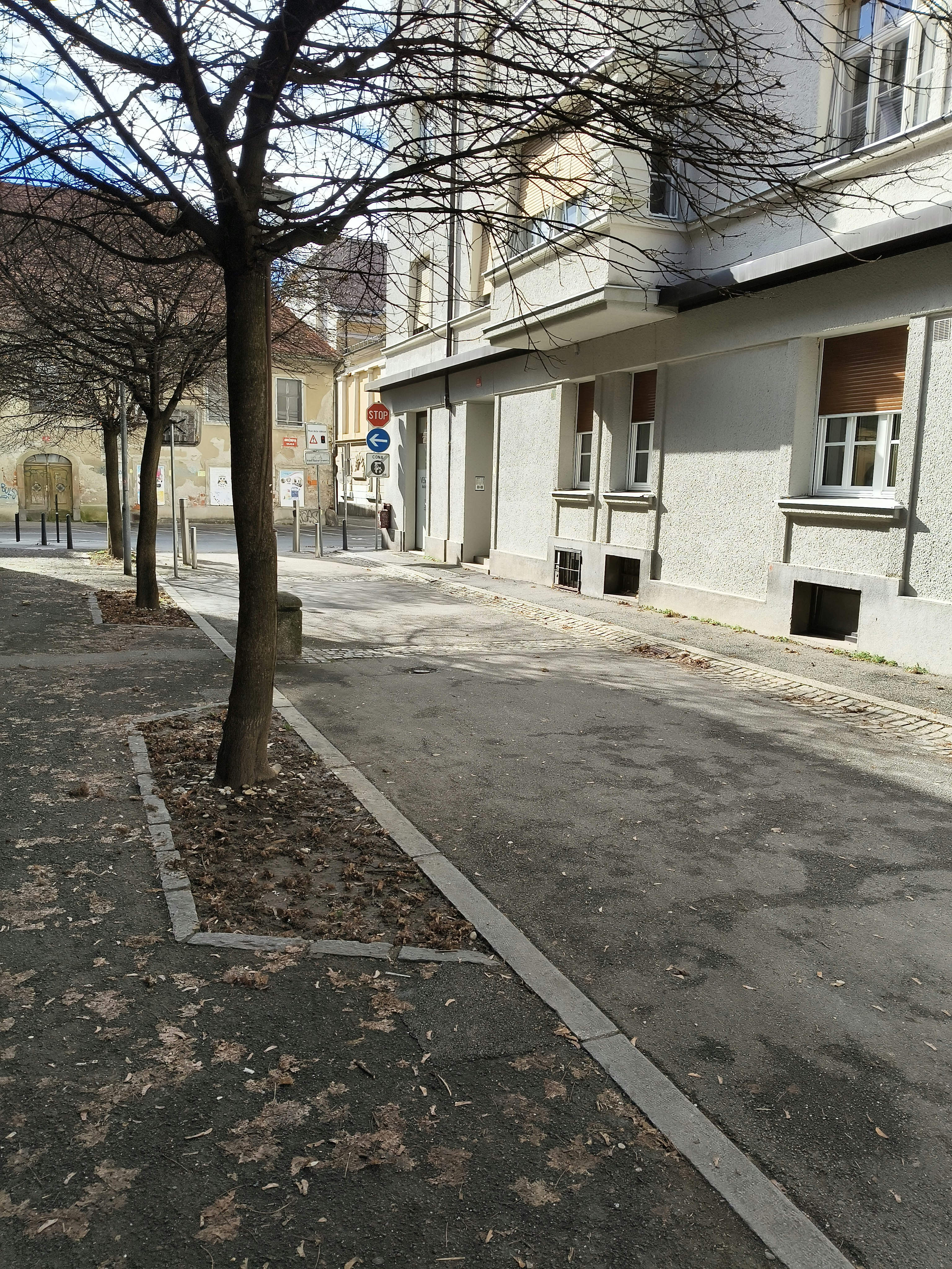 Player photo from Crowns of Maribor walking tour in Maribor