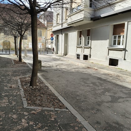 Player photo from Crowns of Maribor walking tour in Maribor