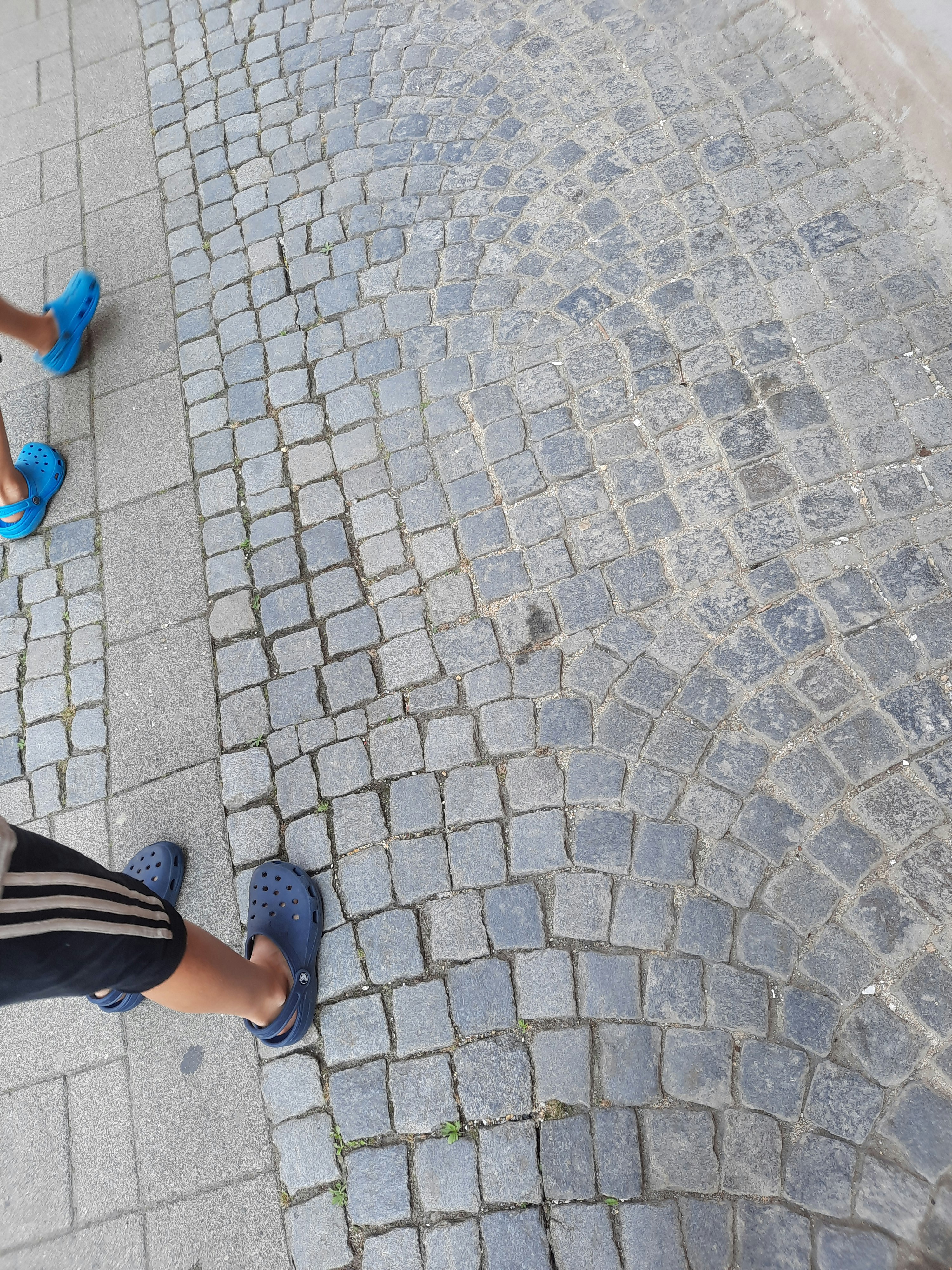 Player photo from Crowns of Maribor walking tour in Maribor