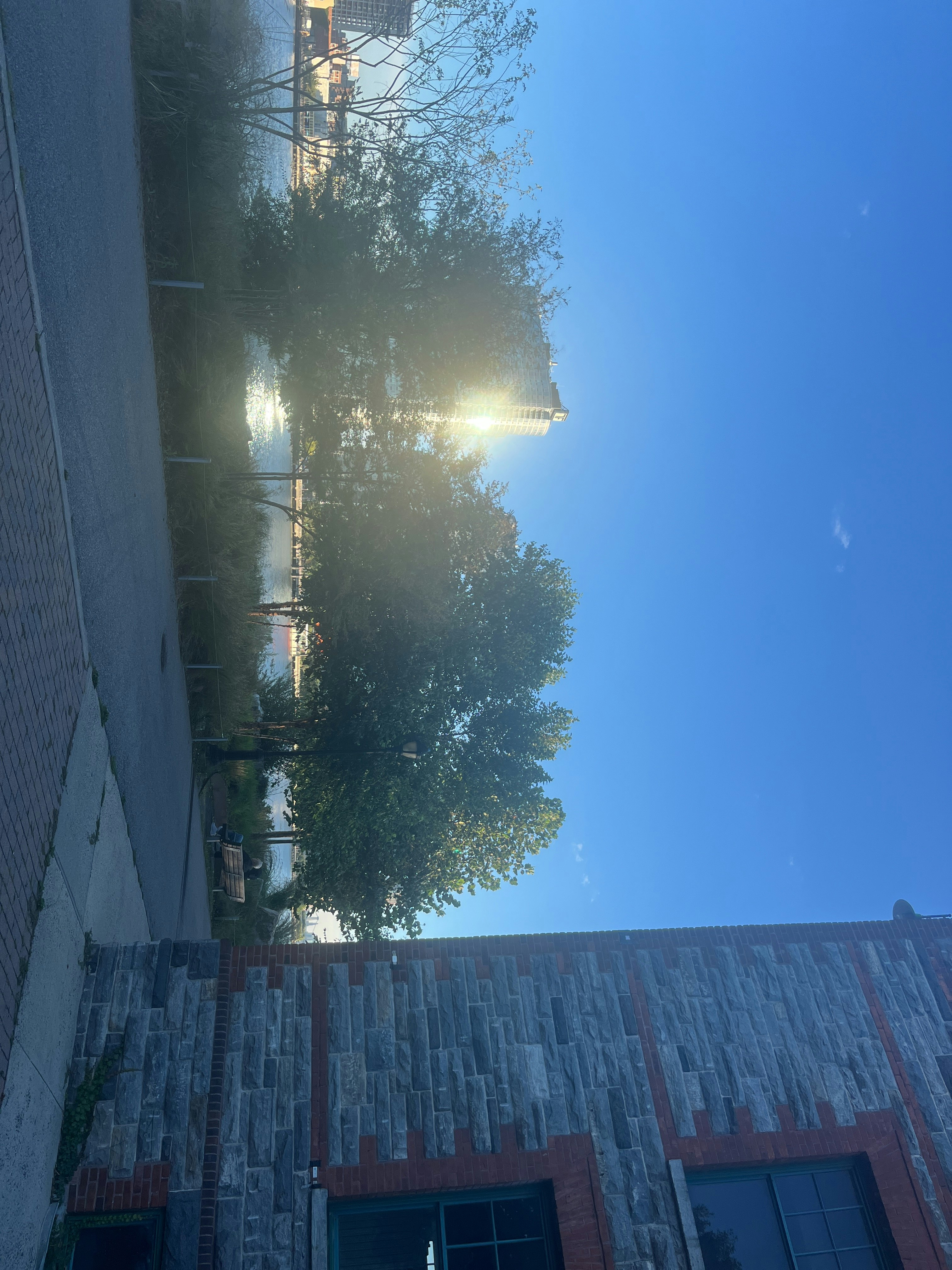 Player photo from The Island Game: Highlights of Roosevelt Island walking tour in New York City