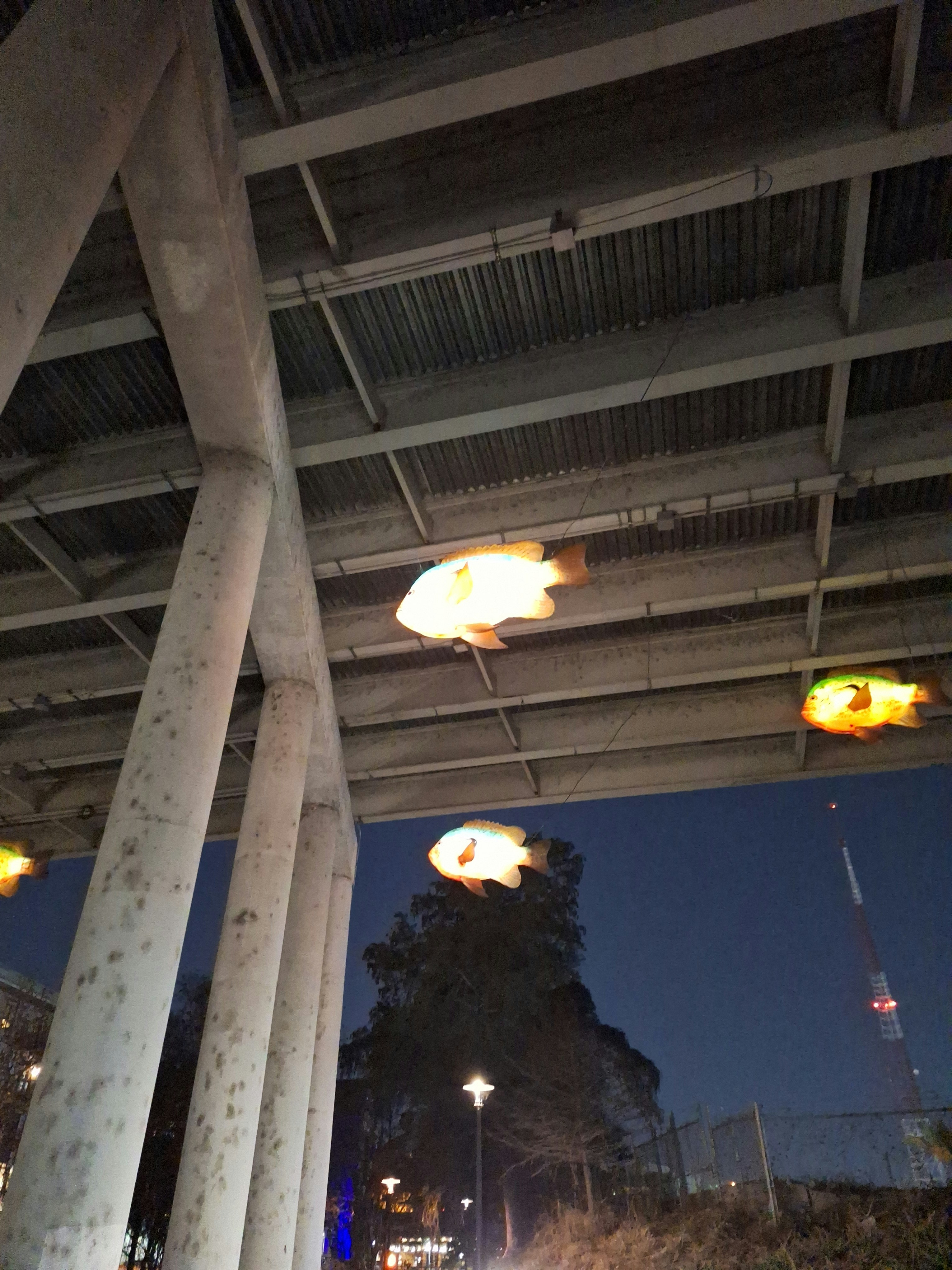 Player photo from Historic San Antonio: Pearl Mystery walking tour in San Antonio