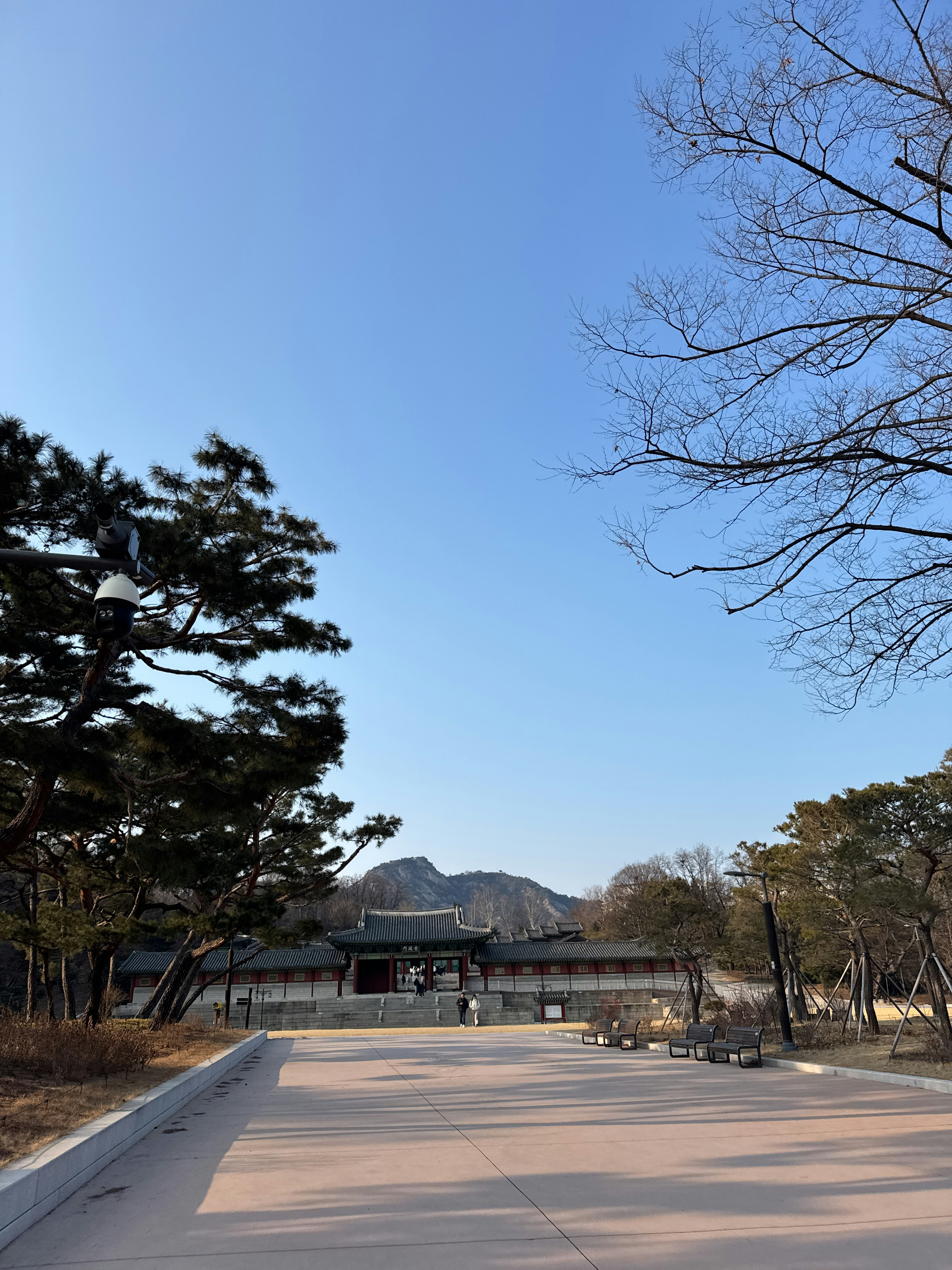 Player photo from Haunted Seoul: The Ghost of Donuimun walking tour in Seoul