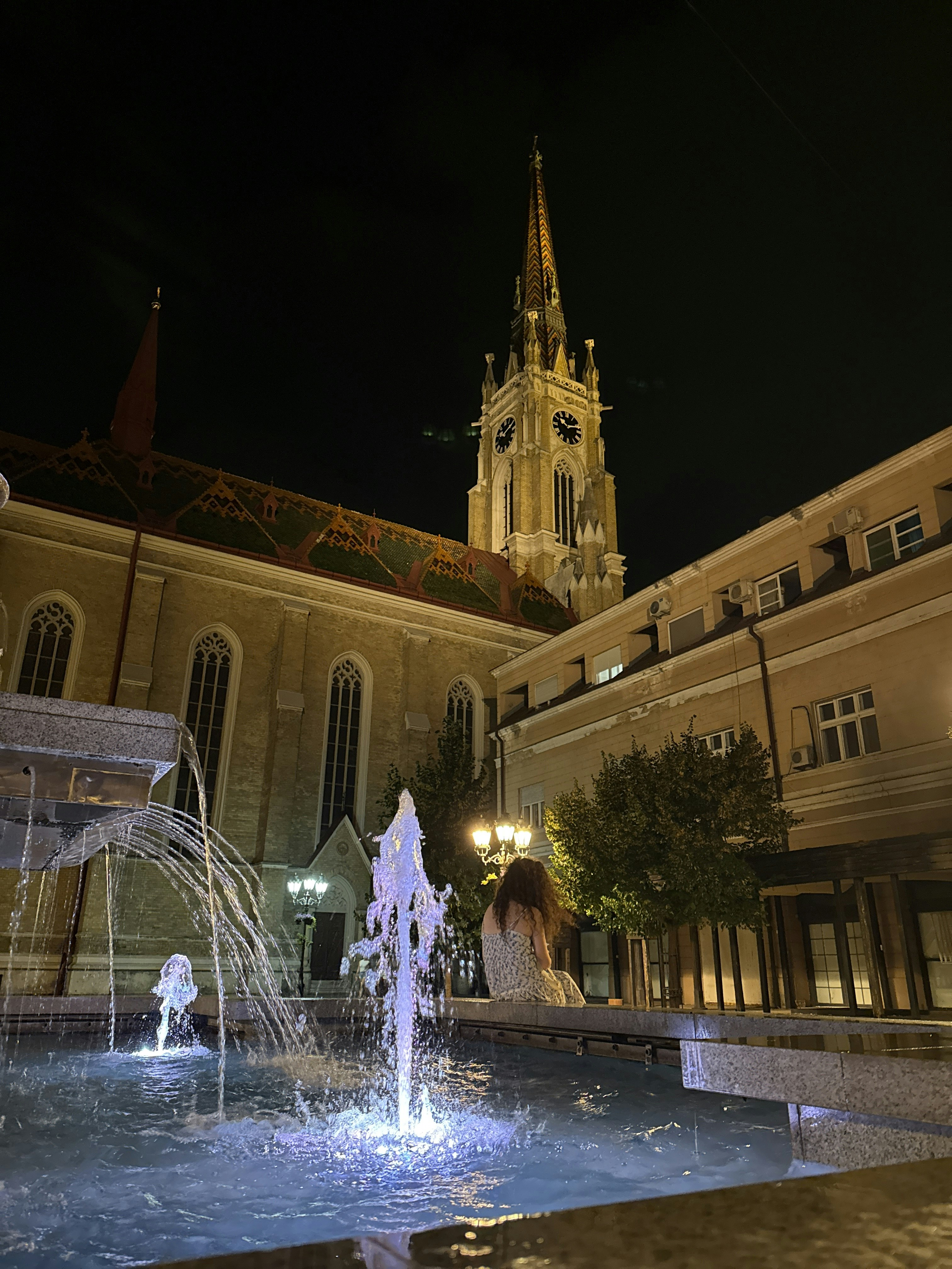 Player photo from Highlights of Novi Sad: Find the Cure! walking tour in Novi Sad