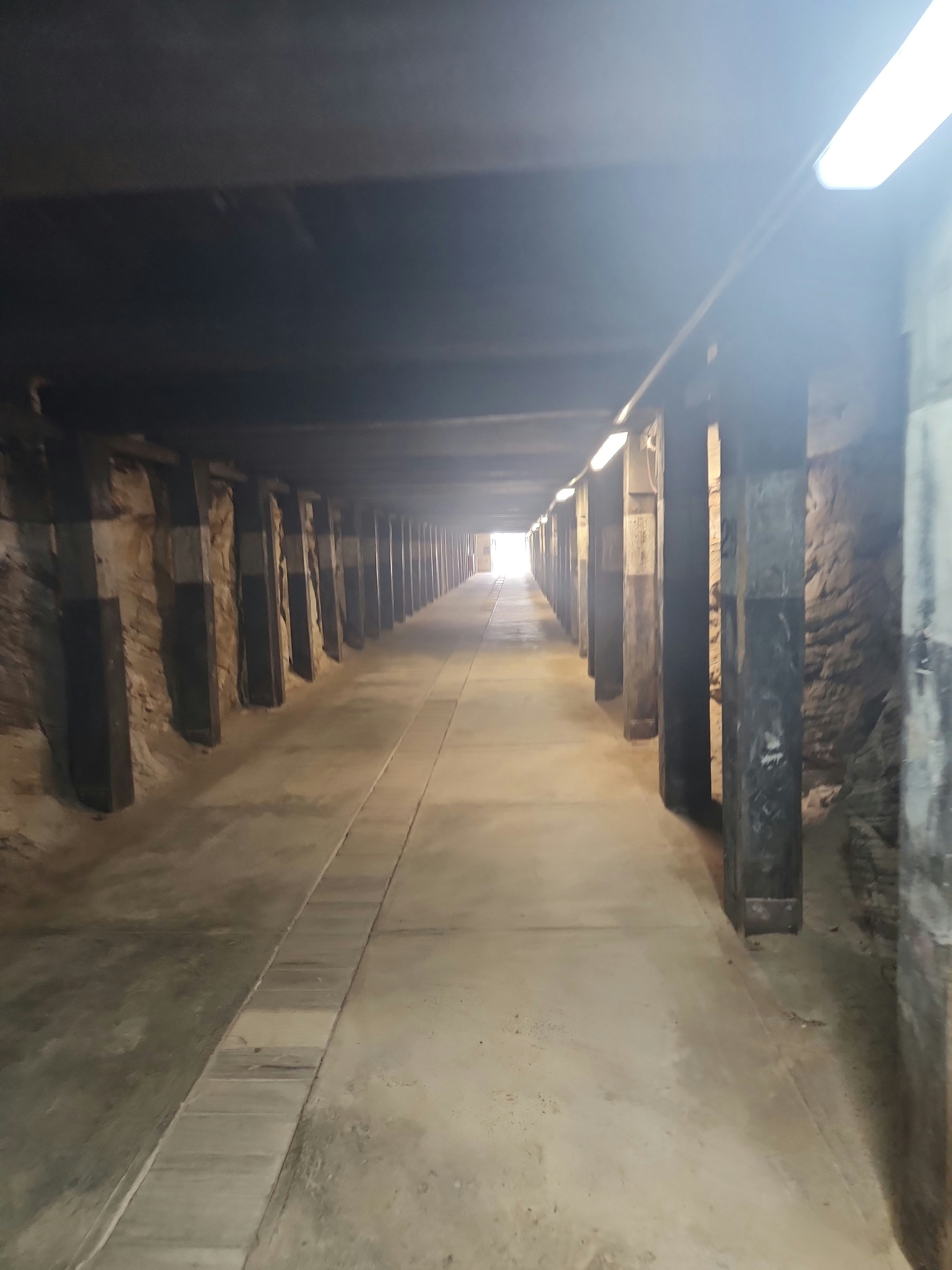 Player photo from Convict Life Sydney: Escape from Cockatoo Island walking tour in Sydney