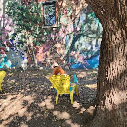 Player photo from Montreal's Underground Heart: A Voyage Through Time walking tour in Montreal