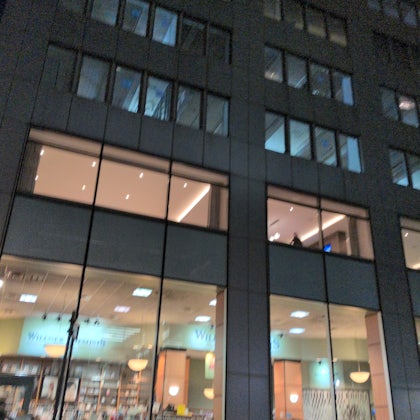 Player photo from NYC: Madcap Manhattan: A Date with The Great Gatsby walking tour in New York City