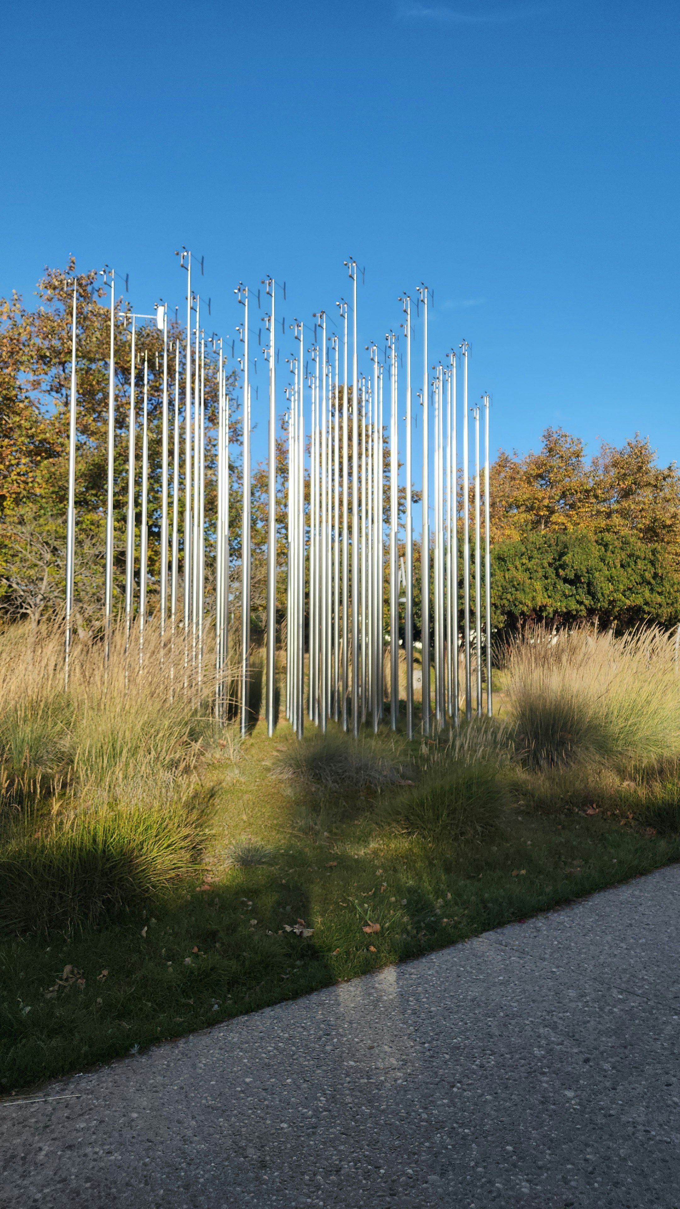 Player photo from Superhero Support Team: Santa Monica walking tour in Los Angeles