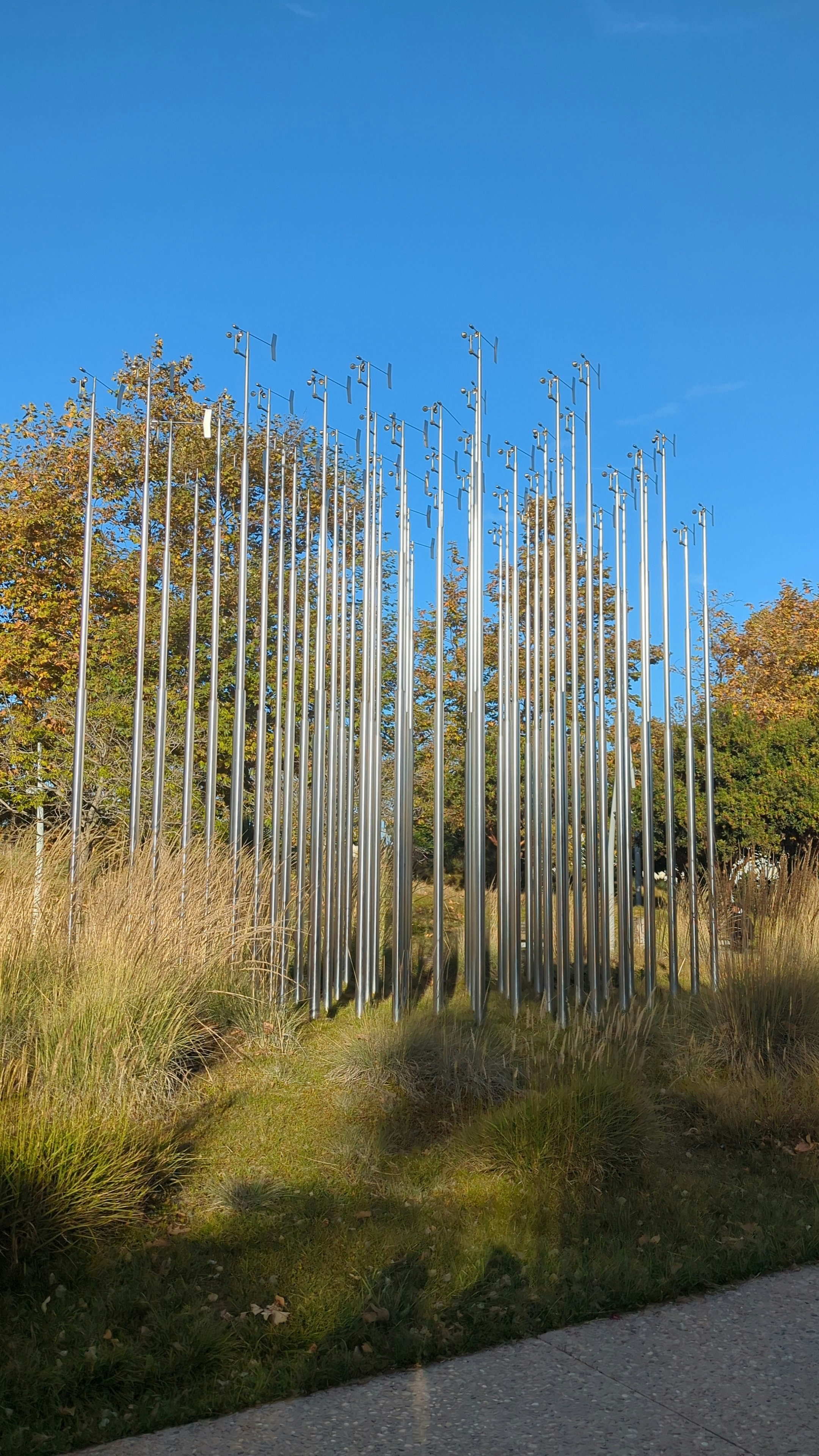 Player photo from Superhero Support Team: Santa Monica walking tour in Los Angeles